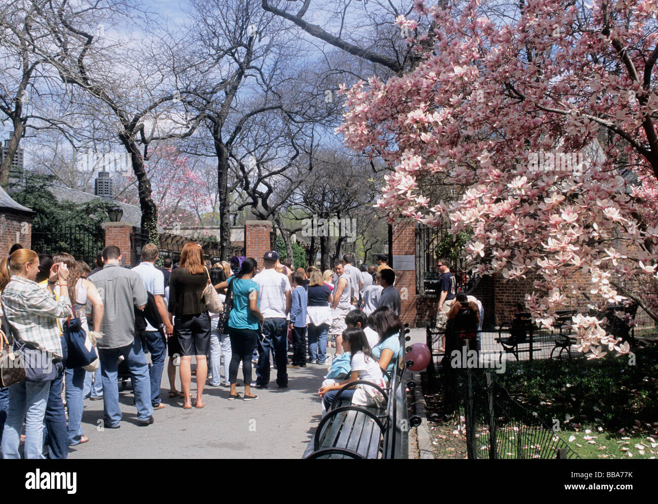 Zoo de New York Central Park. Ressort. Les gens qui font la queue pour entrer dans le zoo. Central Park Conservancy, les touristes font la queue à New York, USA Banque D'Images