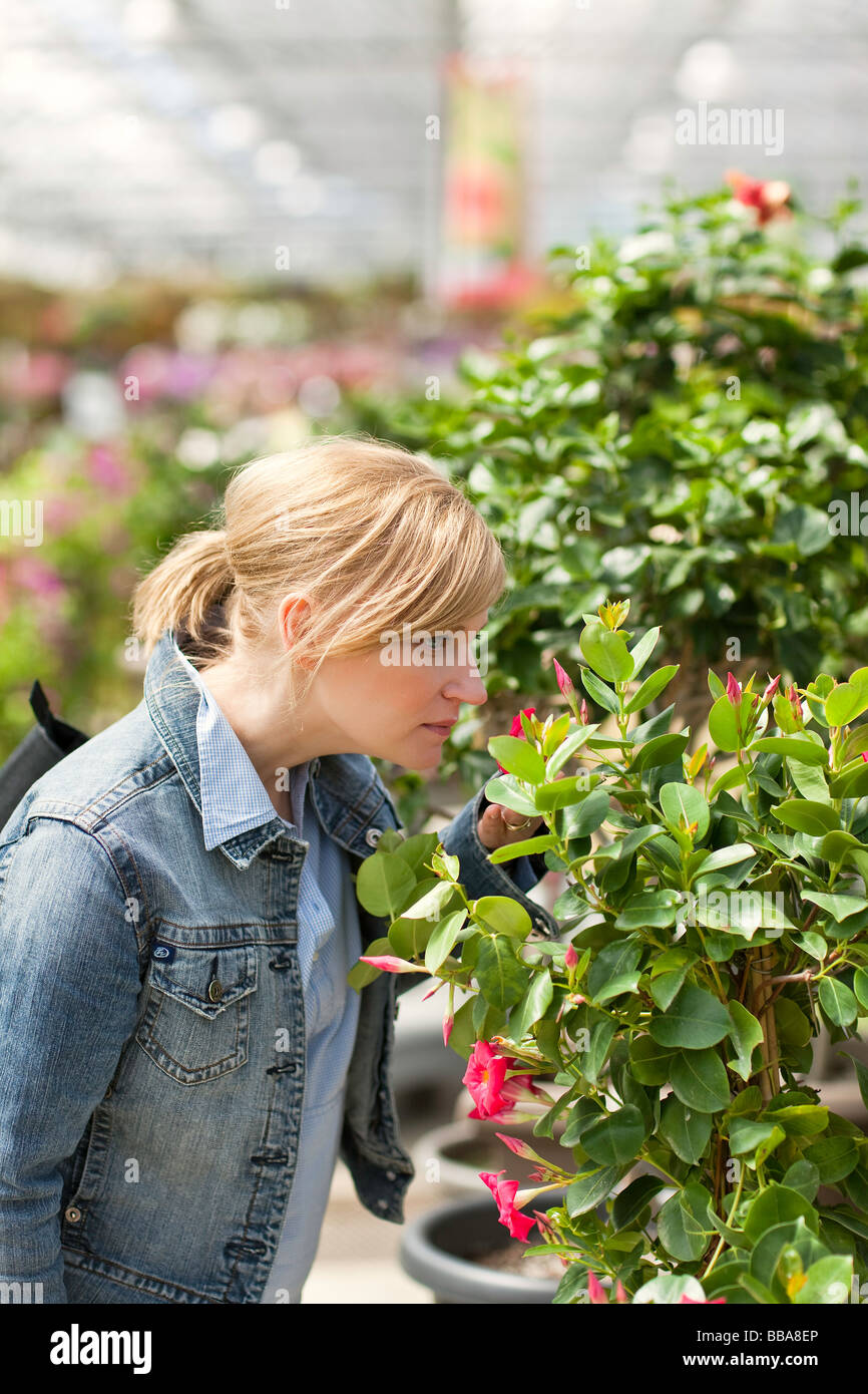 Woman smelling flowers dans une serre. Banque D'Images
