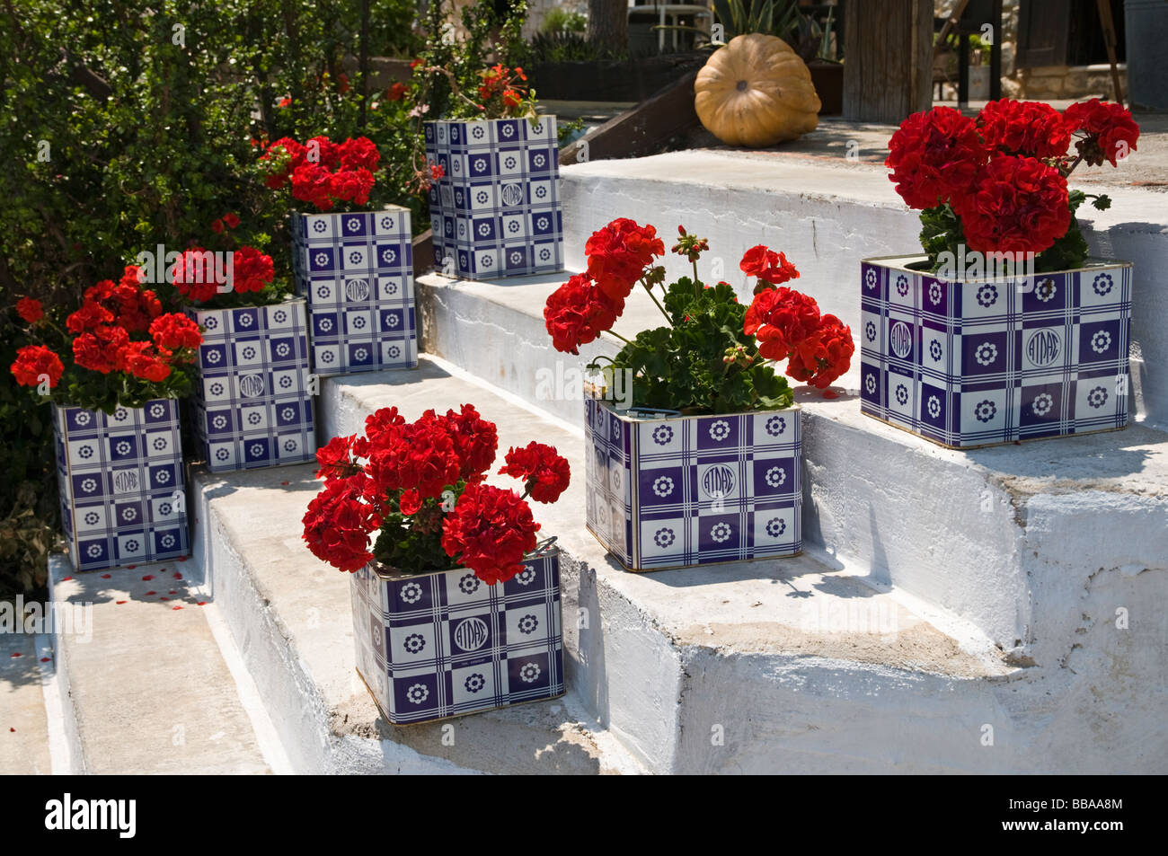 Boîtes de stockage de fromage utilisé comme conteneurs de plantes ornent des mesures pour une propriété à Agios Nikolaos dans le Péloponnèse, Grèce Mani extérieur Banque D'Images