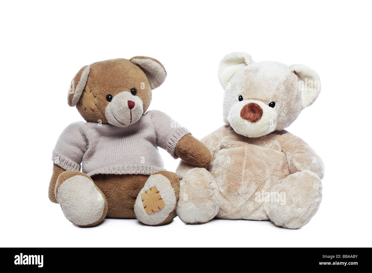 Deux oursons sur fond blanc Banque D'Images