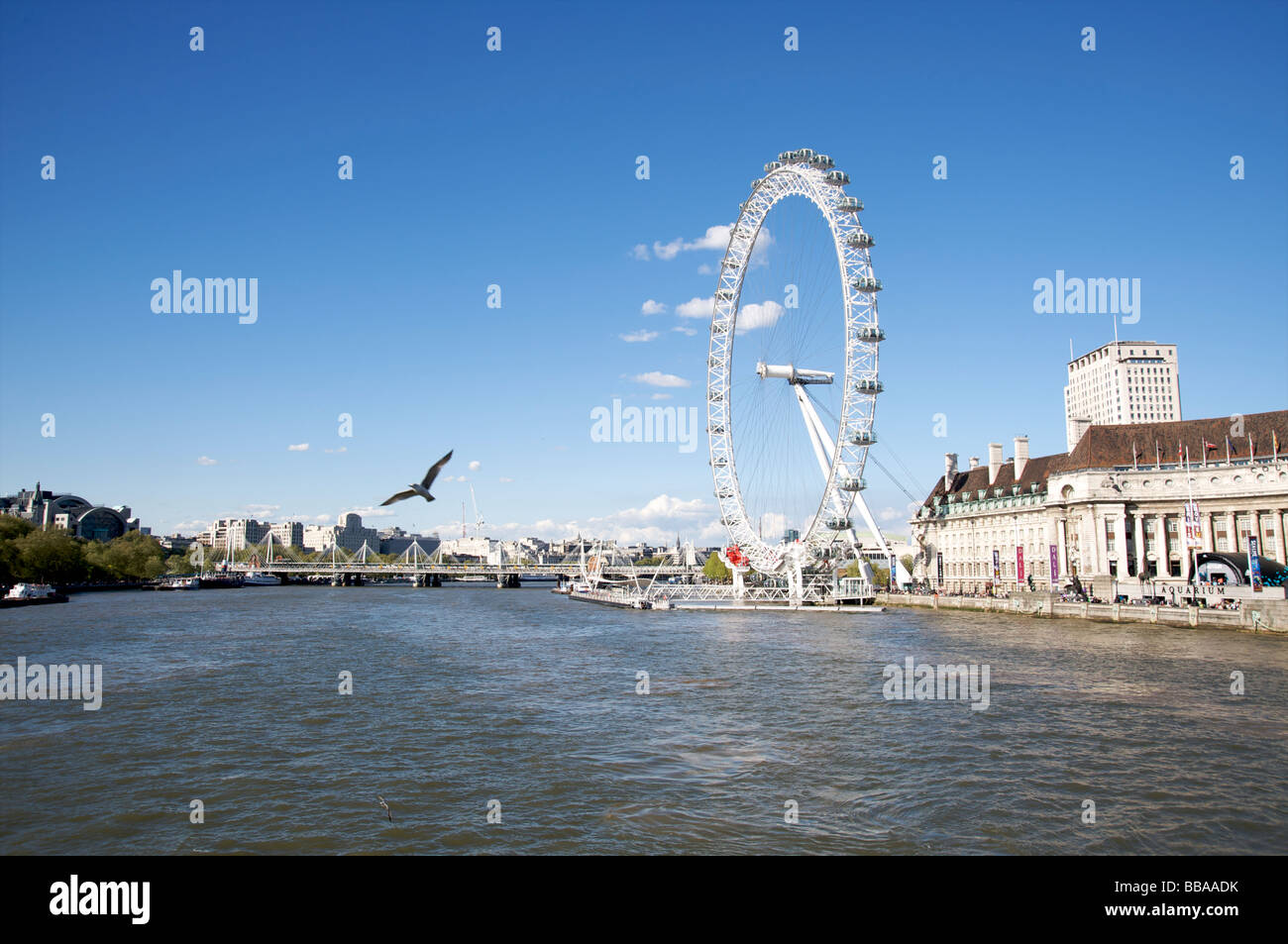 London Eye et la Tamise Banque D'Images