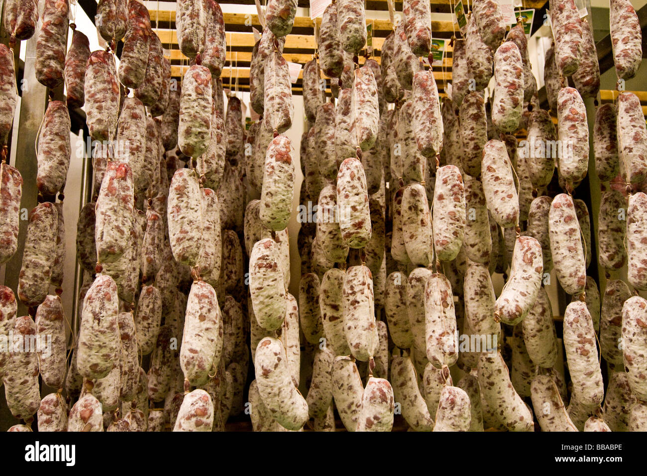 Salami de vallée d'Aoste Banque D'Images Salami de vallée d'Aoste Banque D'Images