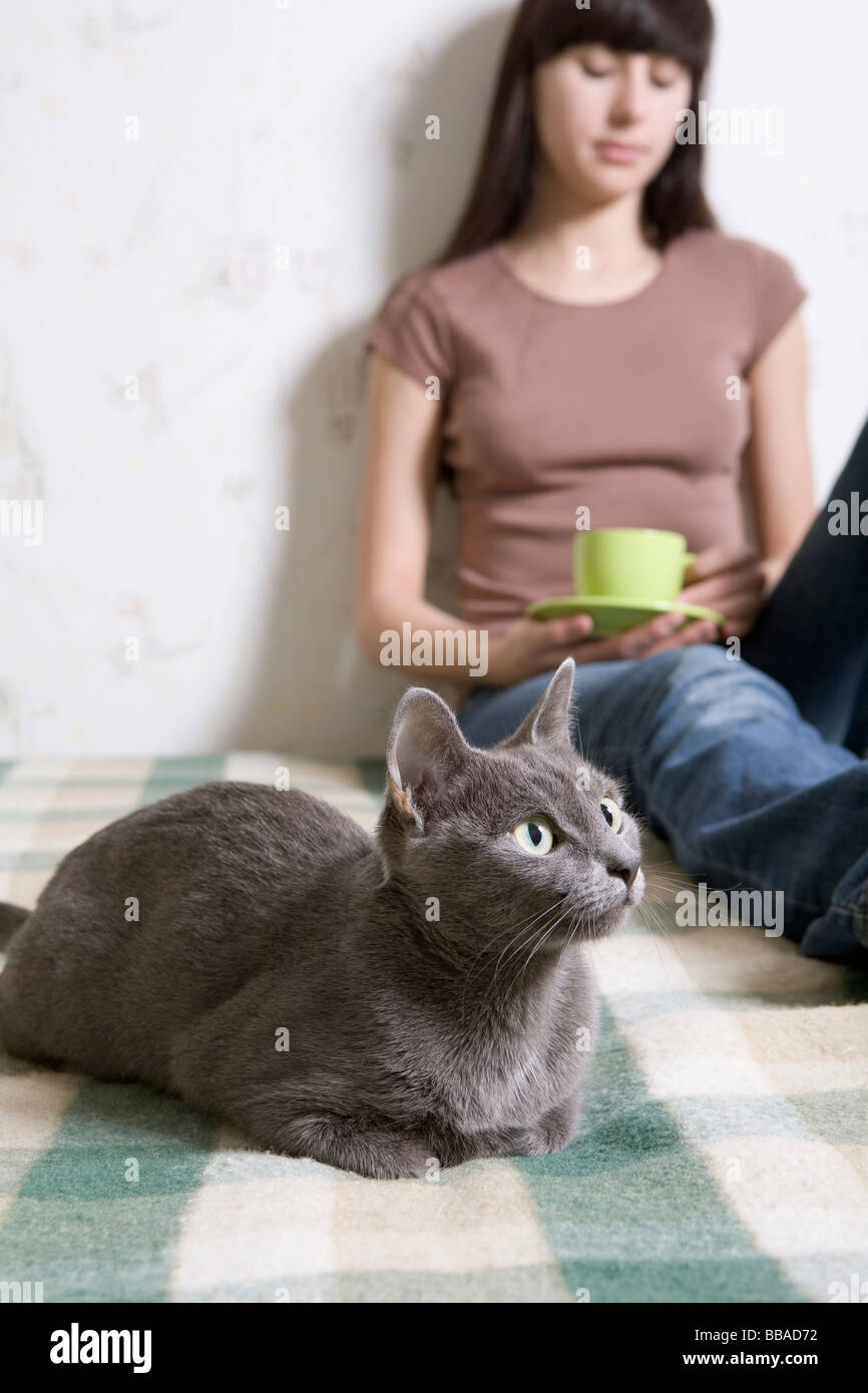 Un chat couché sur un lit avec une jeune femme à l'arrière-plan Banque D'Images