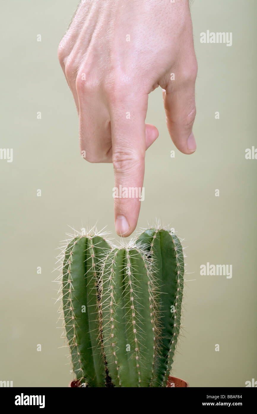 Un doigt humain poussant un cactus Banque D'Images