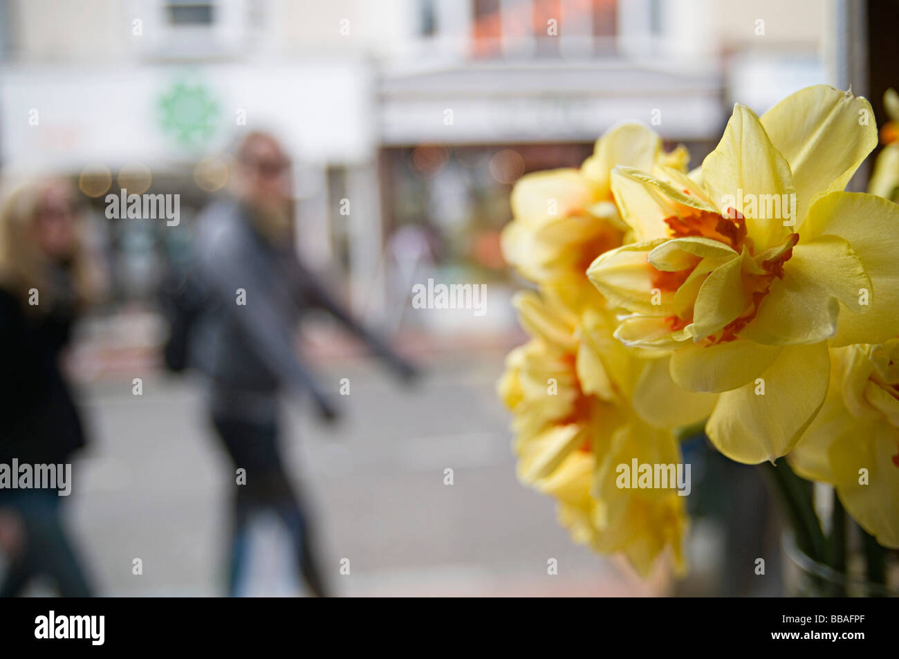 Dans un café de la jonquille dans la fenêtre sur une rue animée de Brighton Banque D'Images