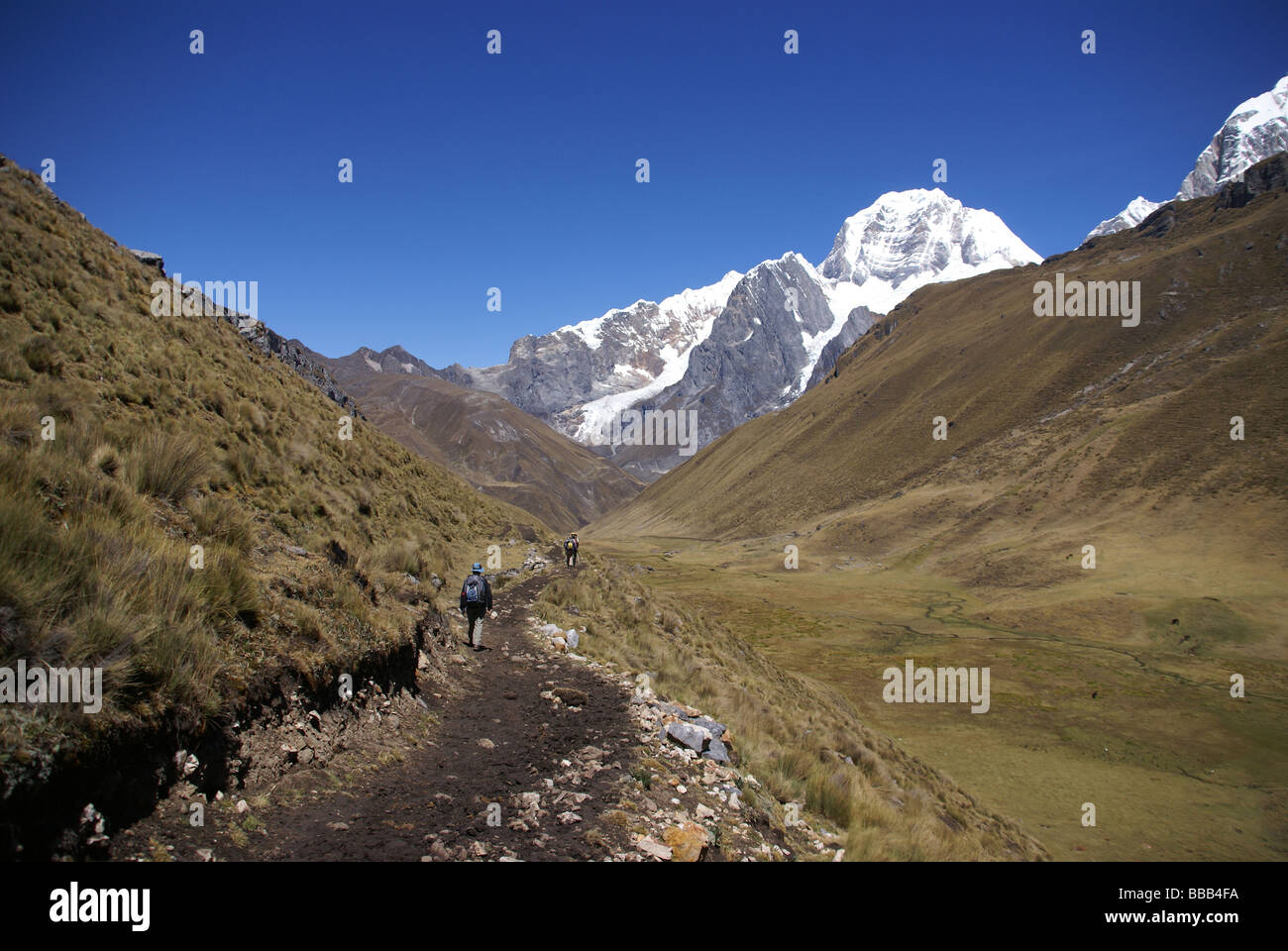 Siula en haute montagne des Andes Pérou Huayhuash Cordillère des Andes en Amérique du Sud Banque D'Images