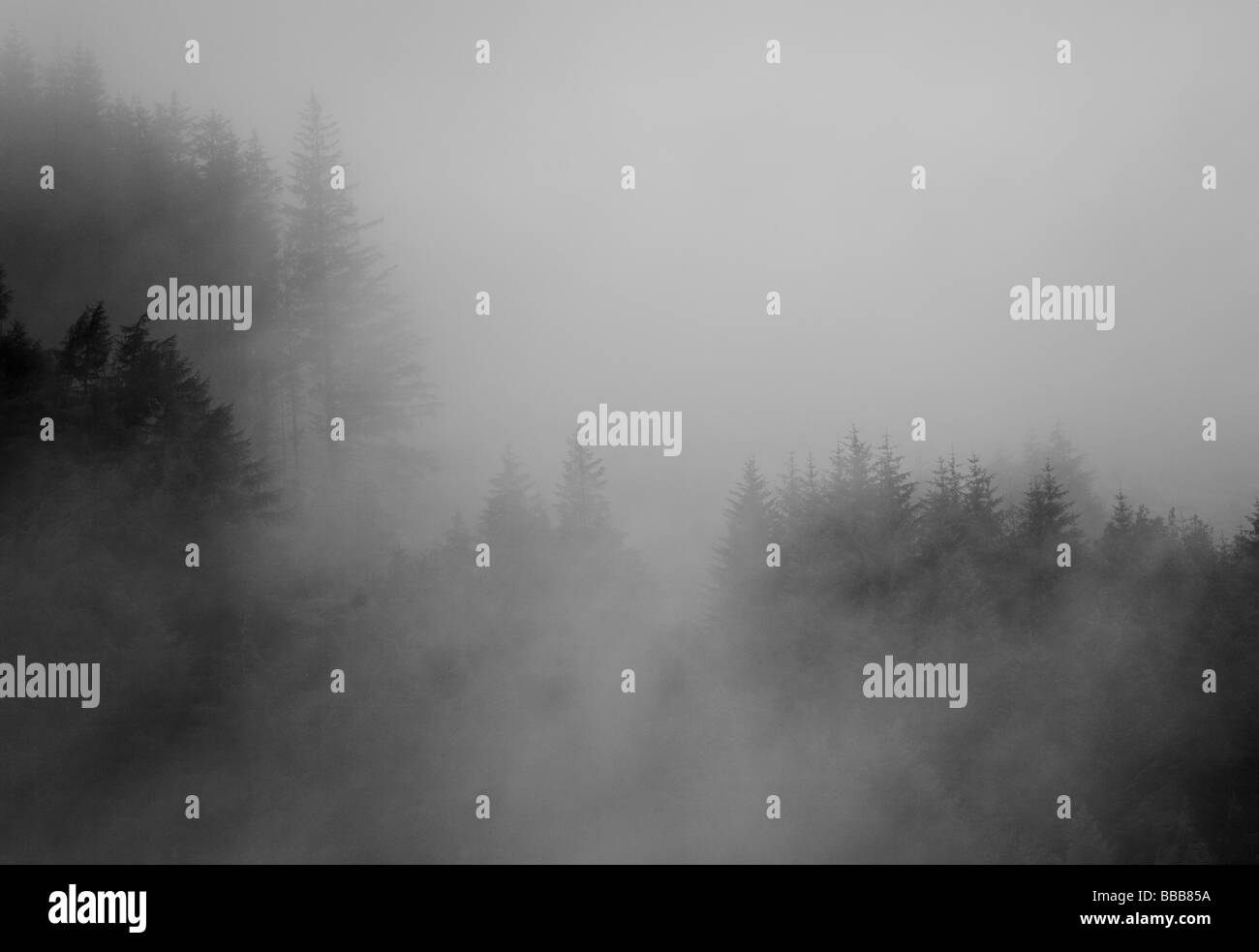 Brouillard dans les collines au-dessus de Strathyre Village Banque D'Images