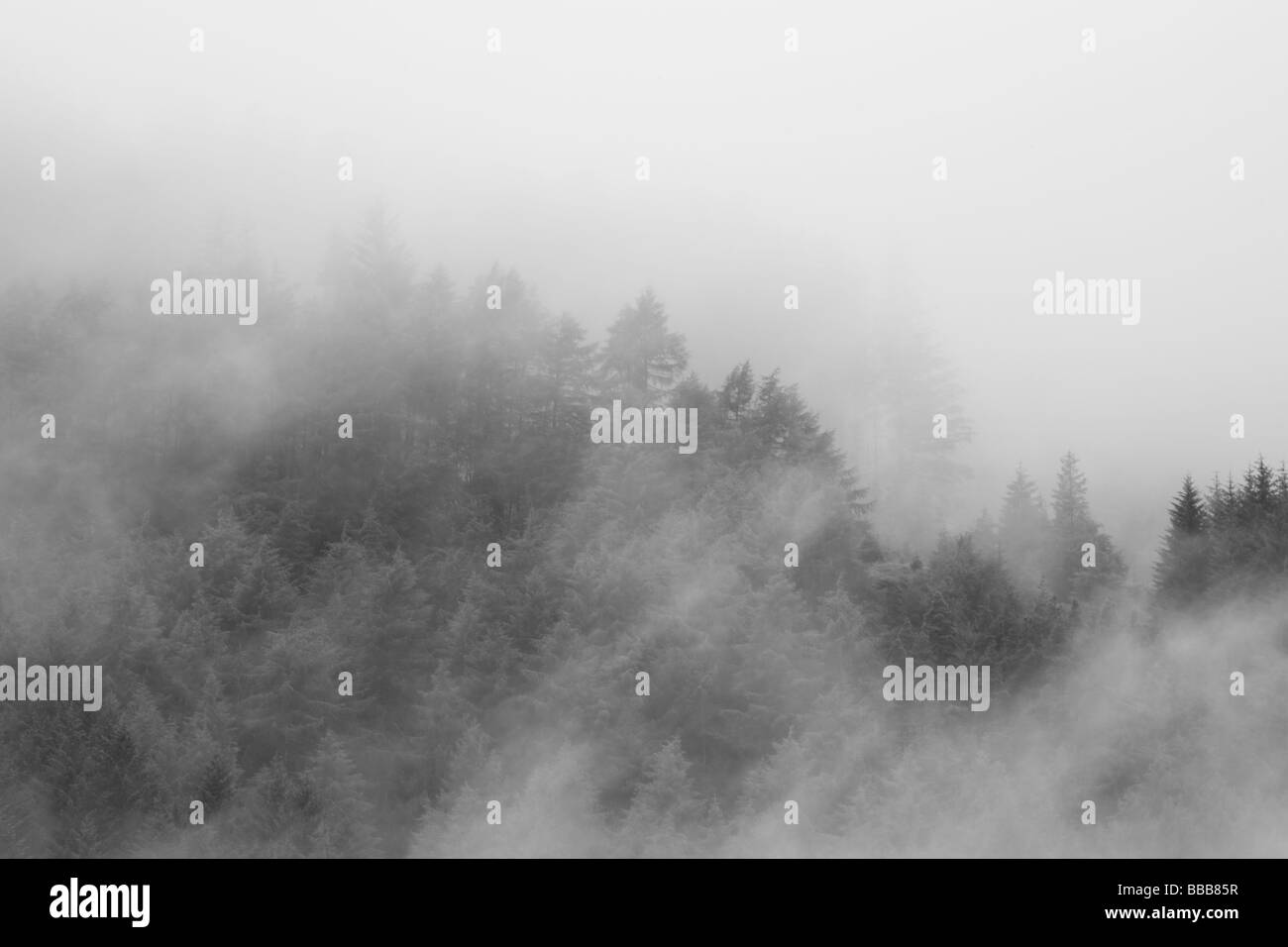 Brouillard dans les collines au-dessus de Strathyre Village Banque D'Images