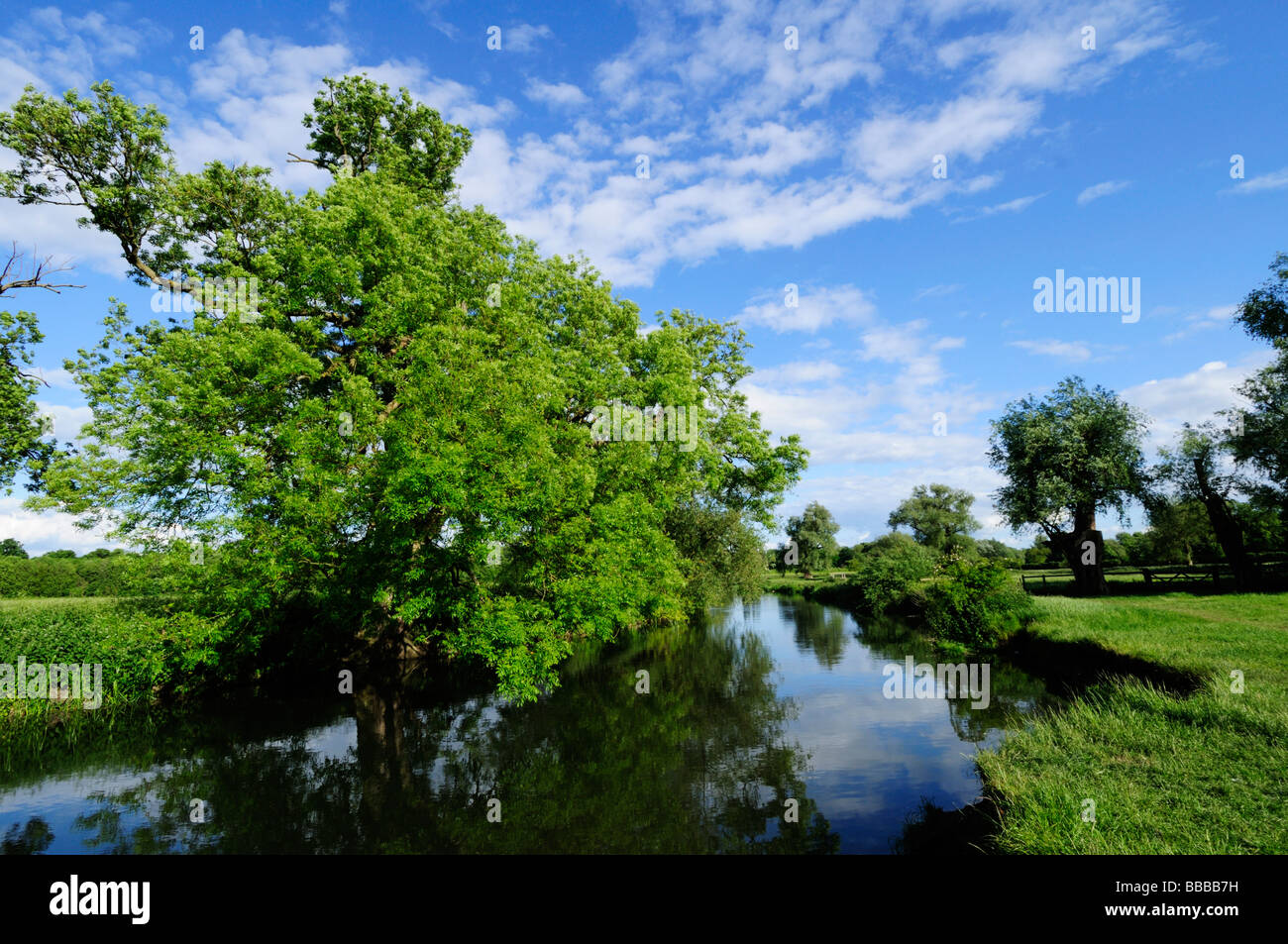 Grantchester Meadows Cambridge Cambridgeshire England Uk Banque D'Images