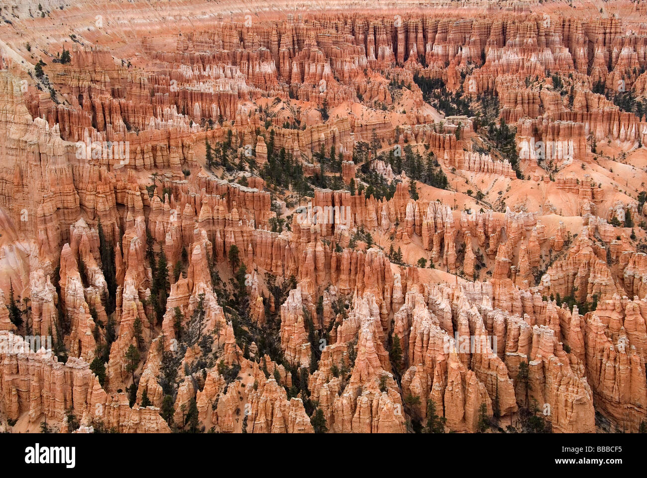 Vue depuis Bryce Point donnent sur le Parc National de Bryce Canyon, Utah USA Banque D'Images