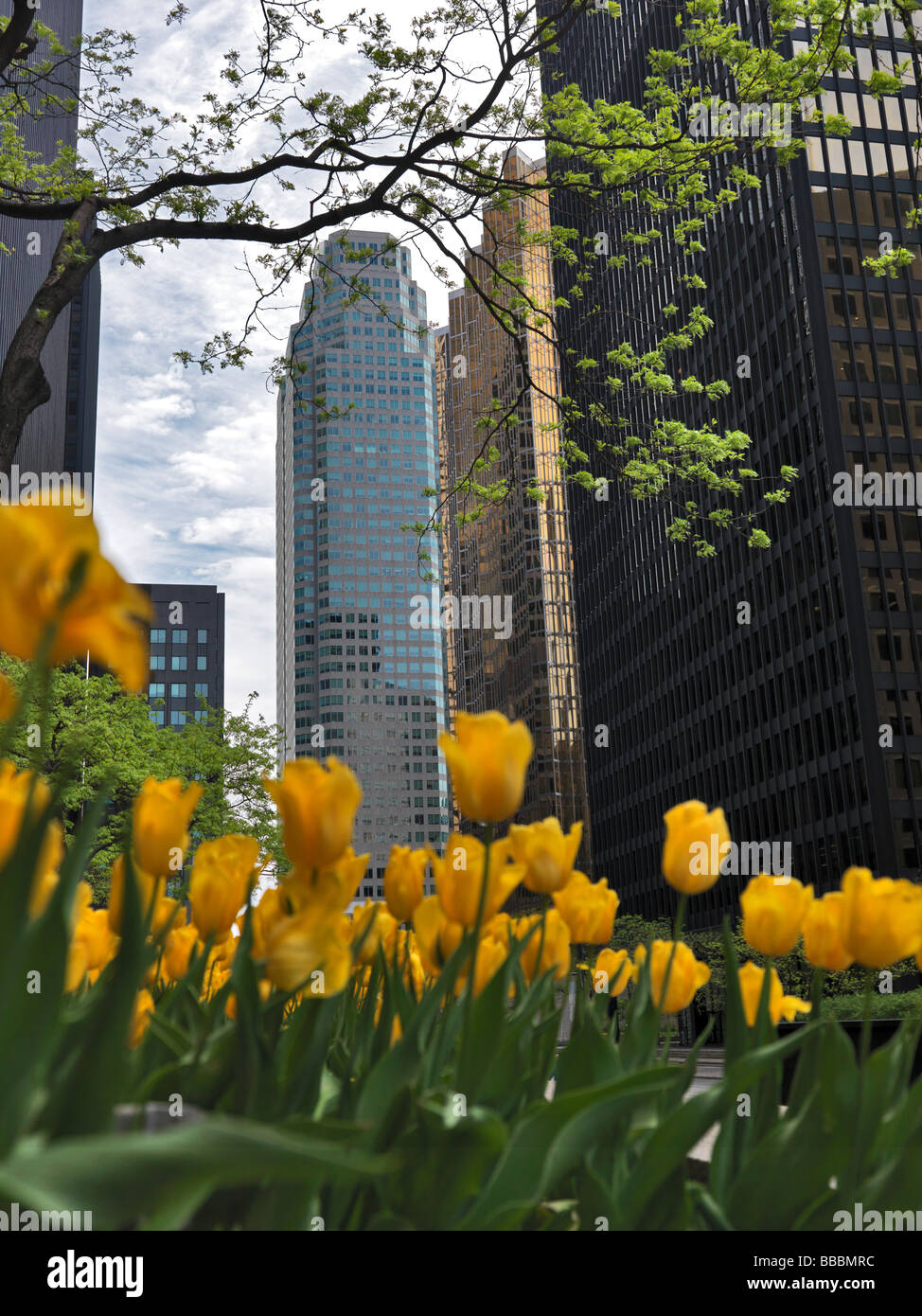 Le centre-ville de Toronto un paysage de printemps Banque D'Images