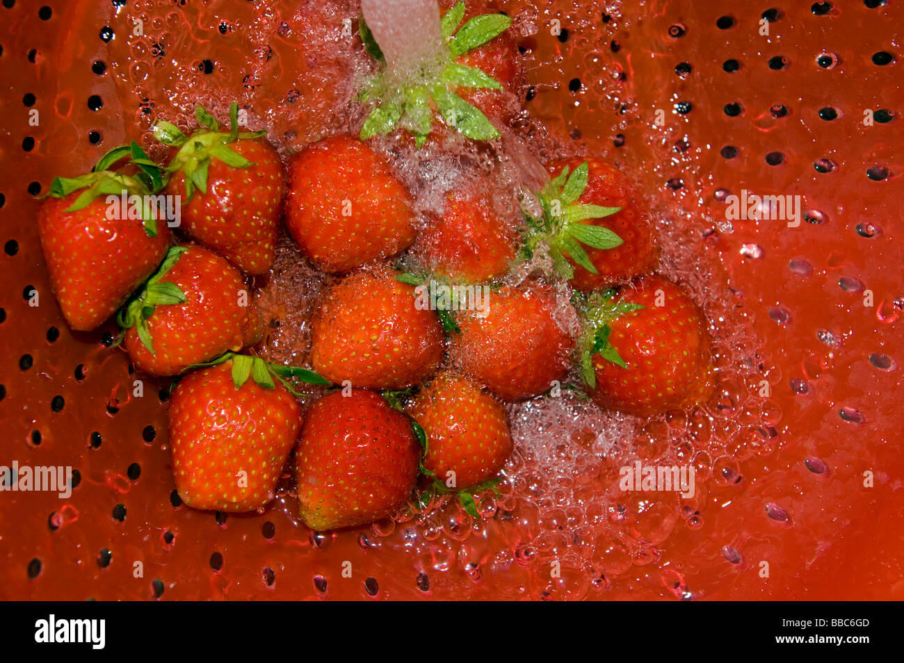 Fraise fraises laver écran riddle tamis tamis nettoyer nettoyage jet d'arrosage de l'eau de cuisson cook cuisine rouge préparer Banque D'Images