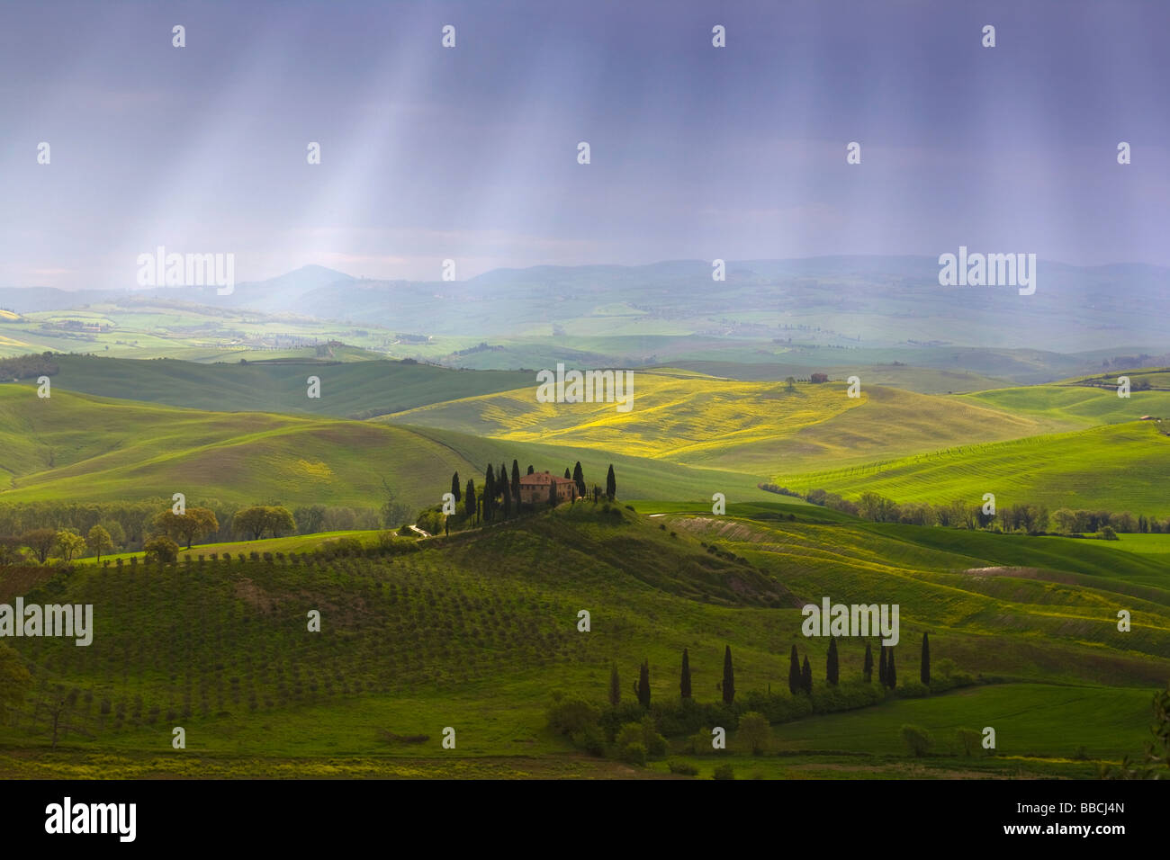 Une vue typique des collines du Val d'orcia, Toscane, Italie. Banque D'Images