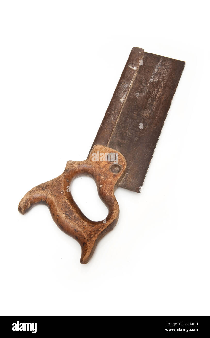 Vu d'aronde isolated on a white background studio Banque D'Images