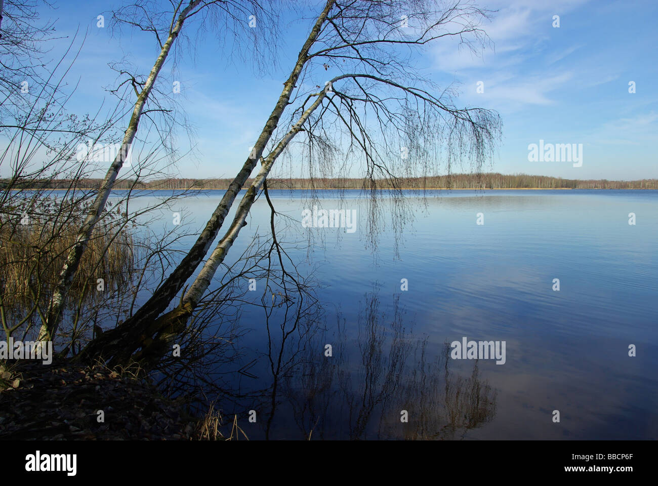 Voir 08 argent Silbersee Banque D'Images