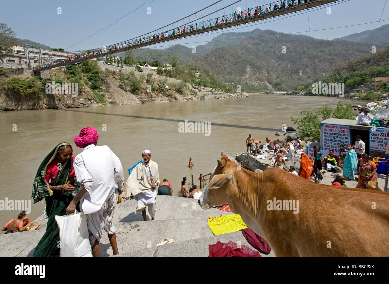 Les gens se baigner dans le Gange. Lakshman Jhula. Rishikesh. Uttarakhand. L'Inde Banque D'Images