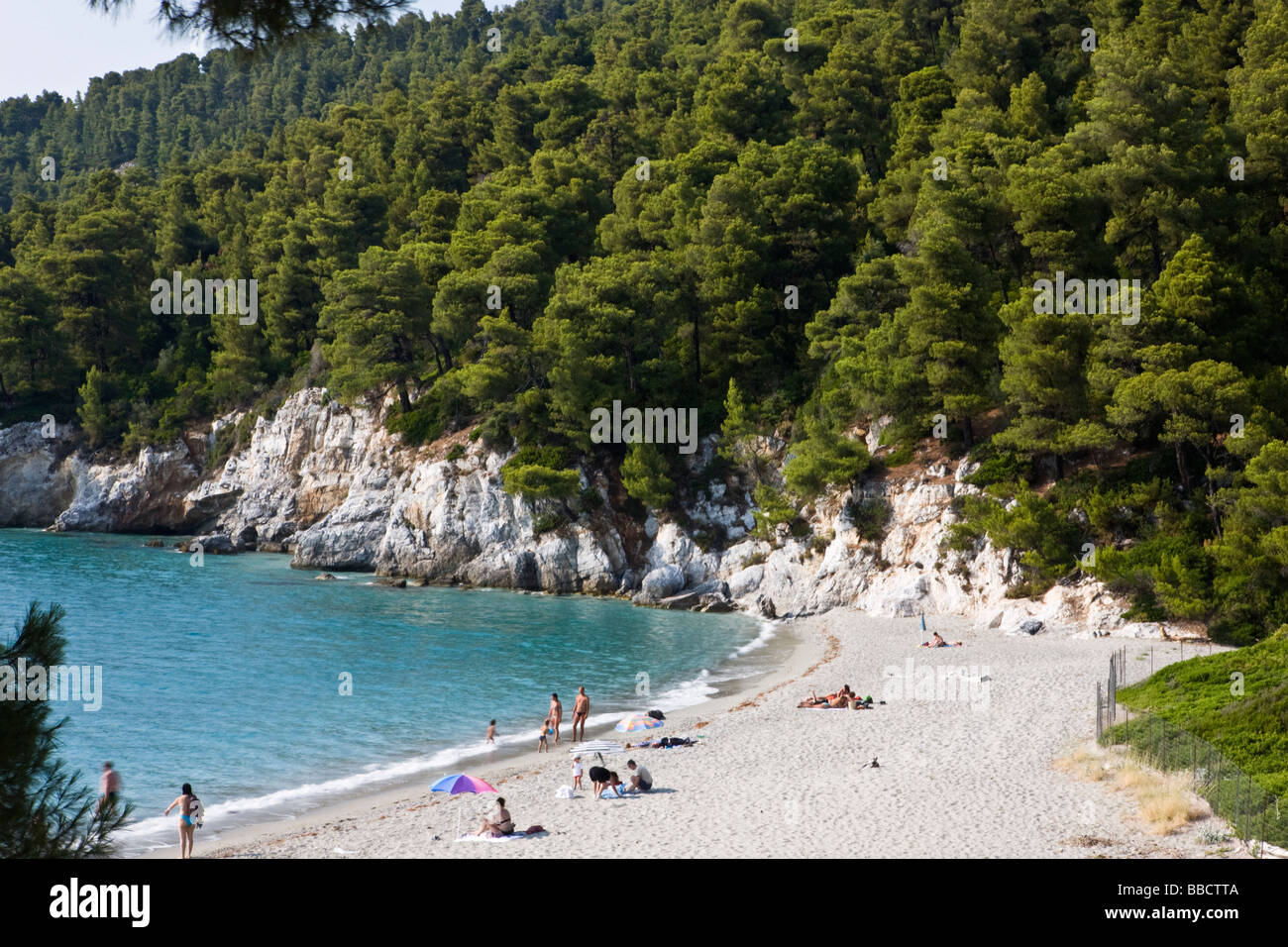 Kastani beach emplacement de Mamma Mia film île de Skopelos Grèce îles  Grecques Photo Stock - Alamy