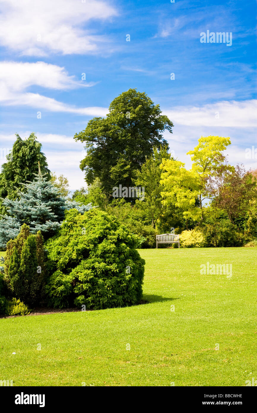 De grands arbres et arbustes arbustes autour d'une pelouse à l'Oxfordshire England UK Jardin Waterperry Grande-bretagne Banque D'Images