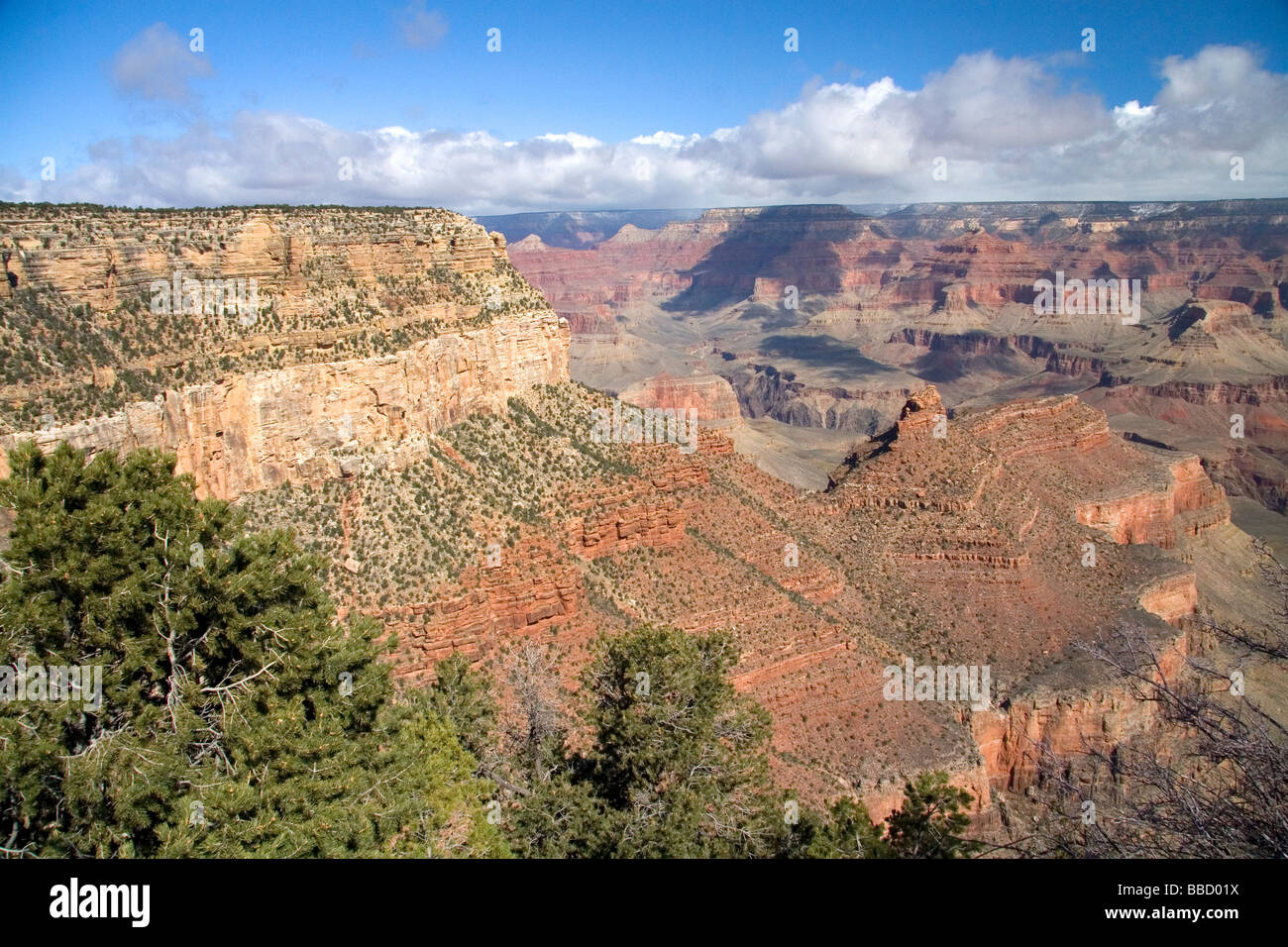 Vue du bord sud du Grand Canyon Arizona USA Banque D'Images