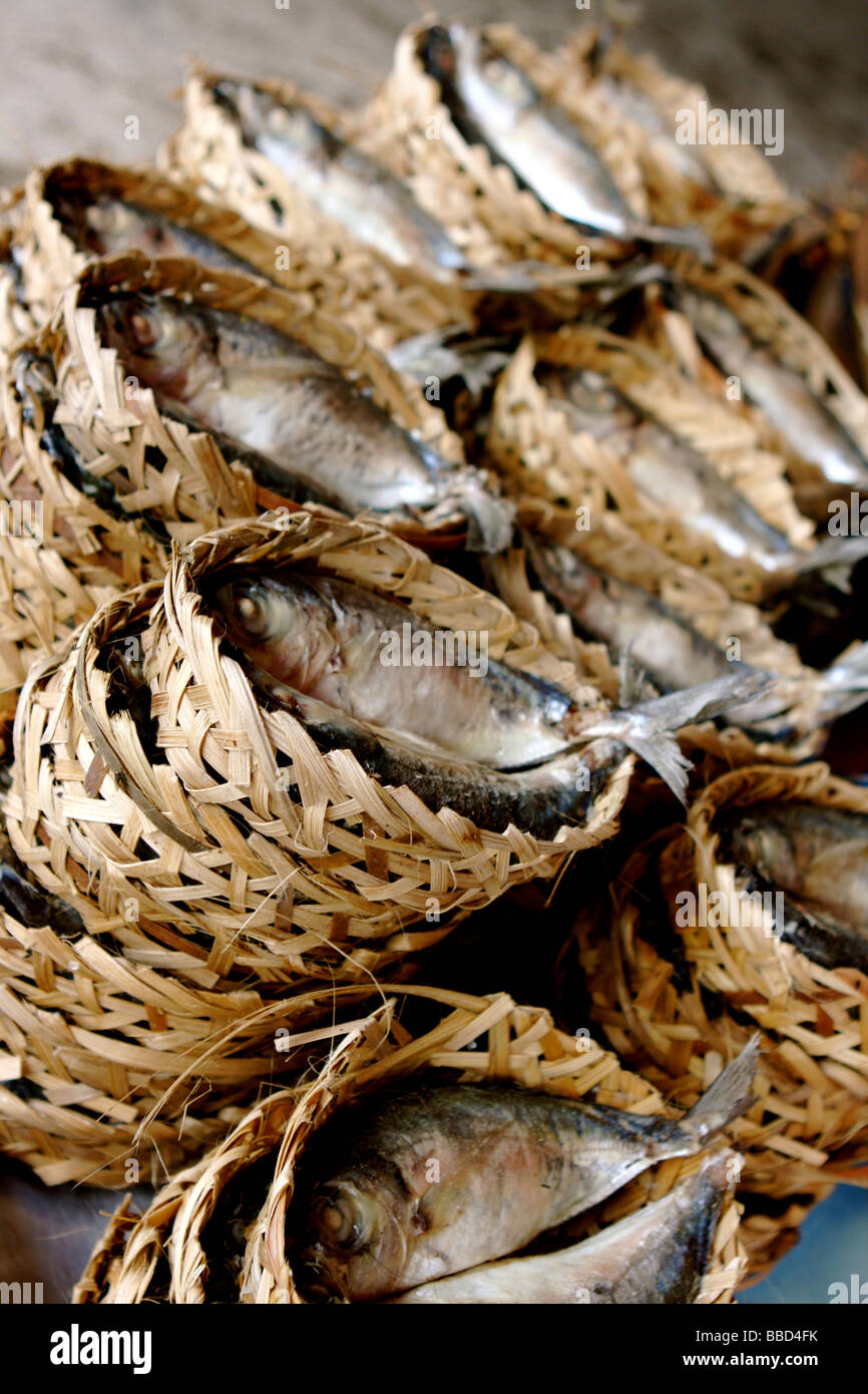 Gamme de poisson dans le marché de Ben Tre Banque D'Images