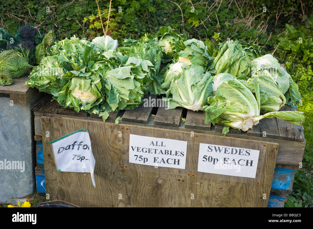 Décrochage routière produits fermiers vente, Cornwall Banque D'Images