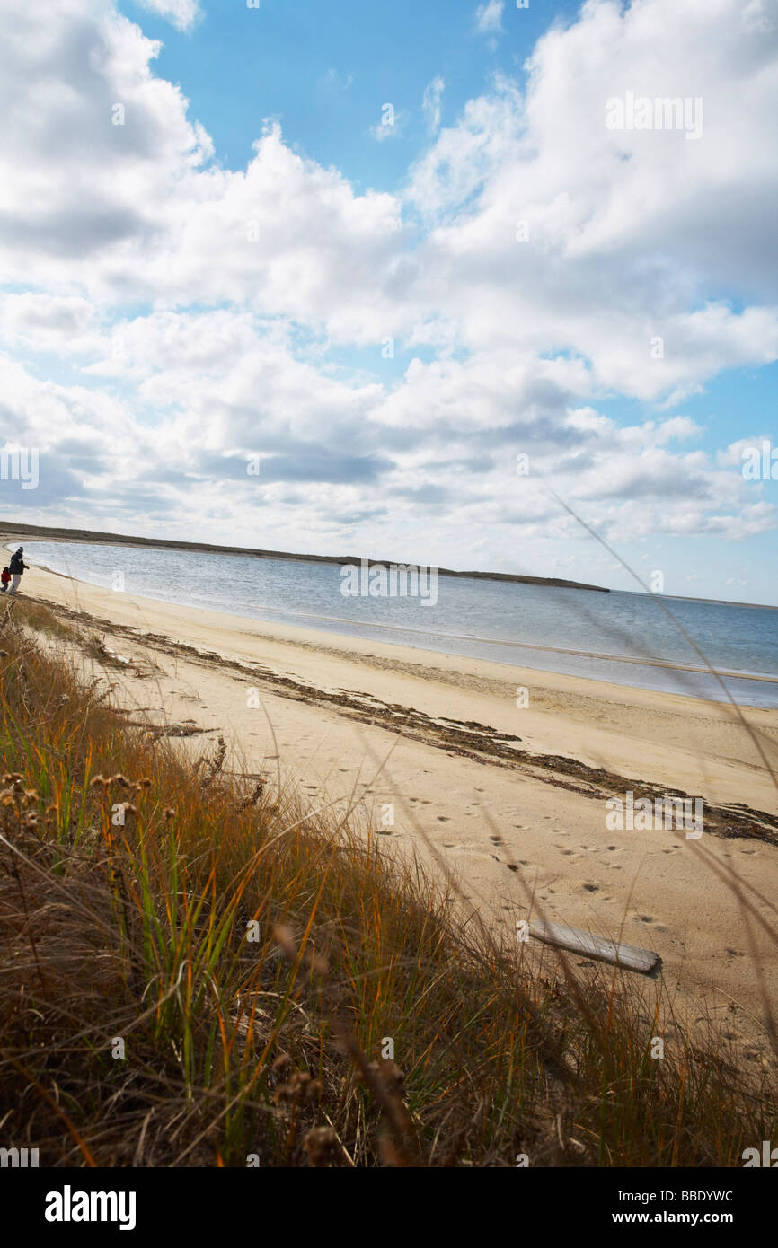 Refuge de Long Point, West Tisbury, Martha's Vineyard, Massachusetts, USA Banque D'Images