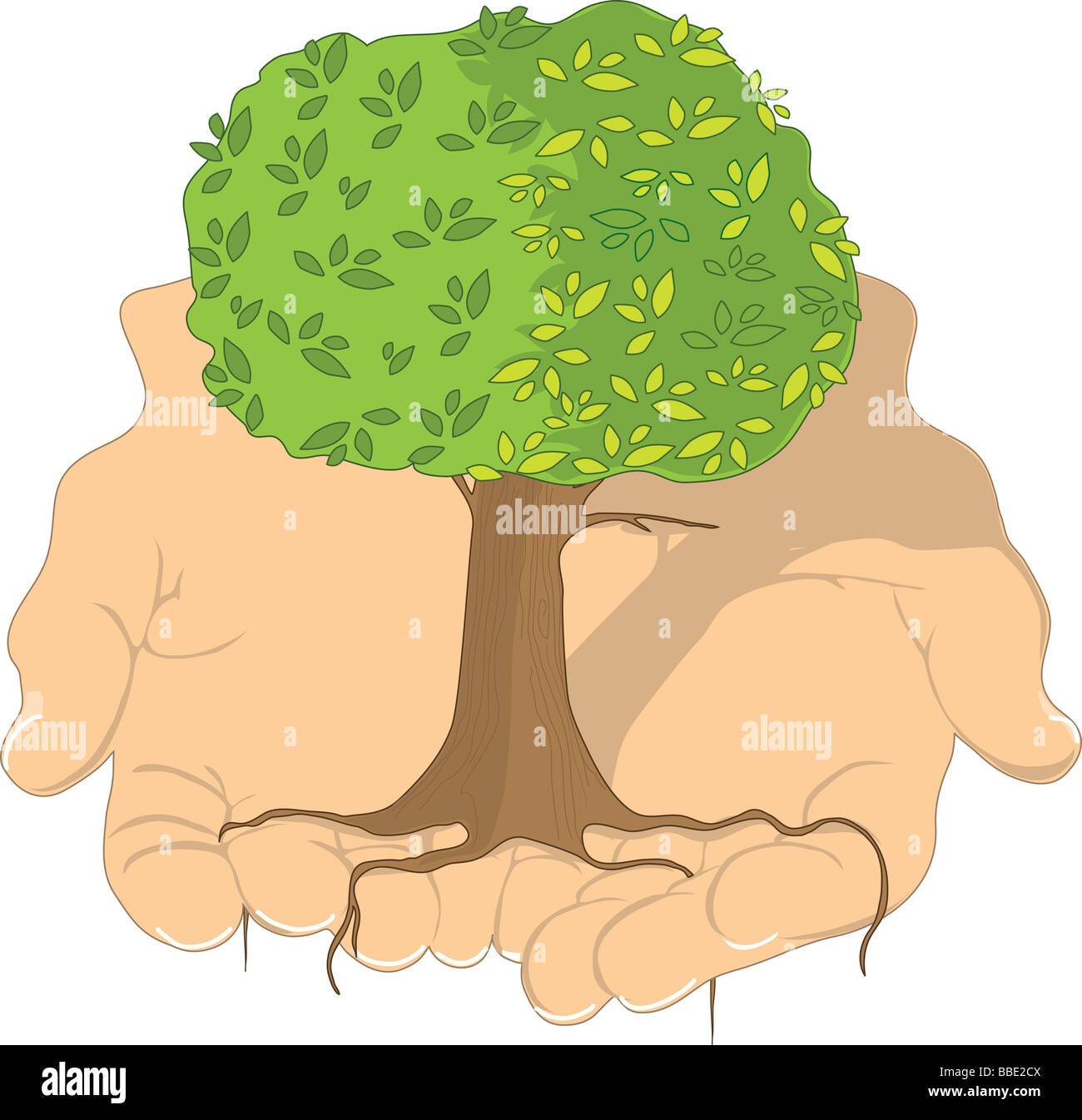 Un bel arbre dans la paume de la main de l'homme Banque D'Images