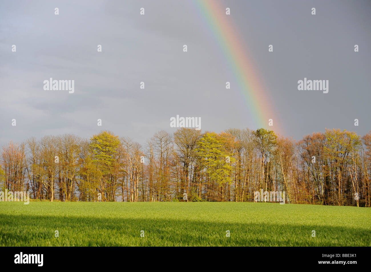 Arc-en-ciel sur le terrain Riec sur Belon Finistere Bretagne Bretagne France Banque D'Images Arc-en-ciel sur le terrain Riec sur Belon Finistere Bretagne Bretagne France Banque D'Images