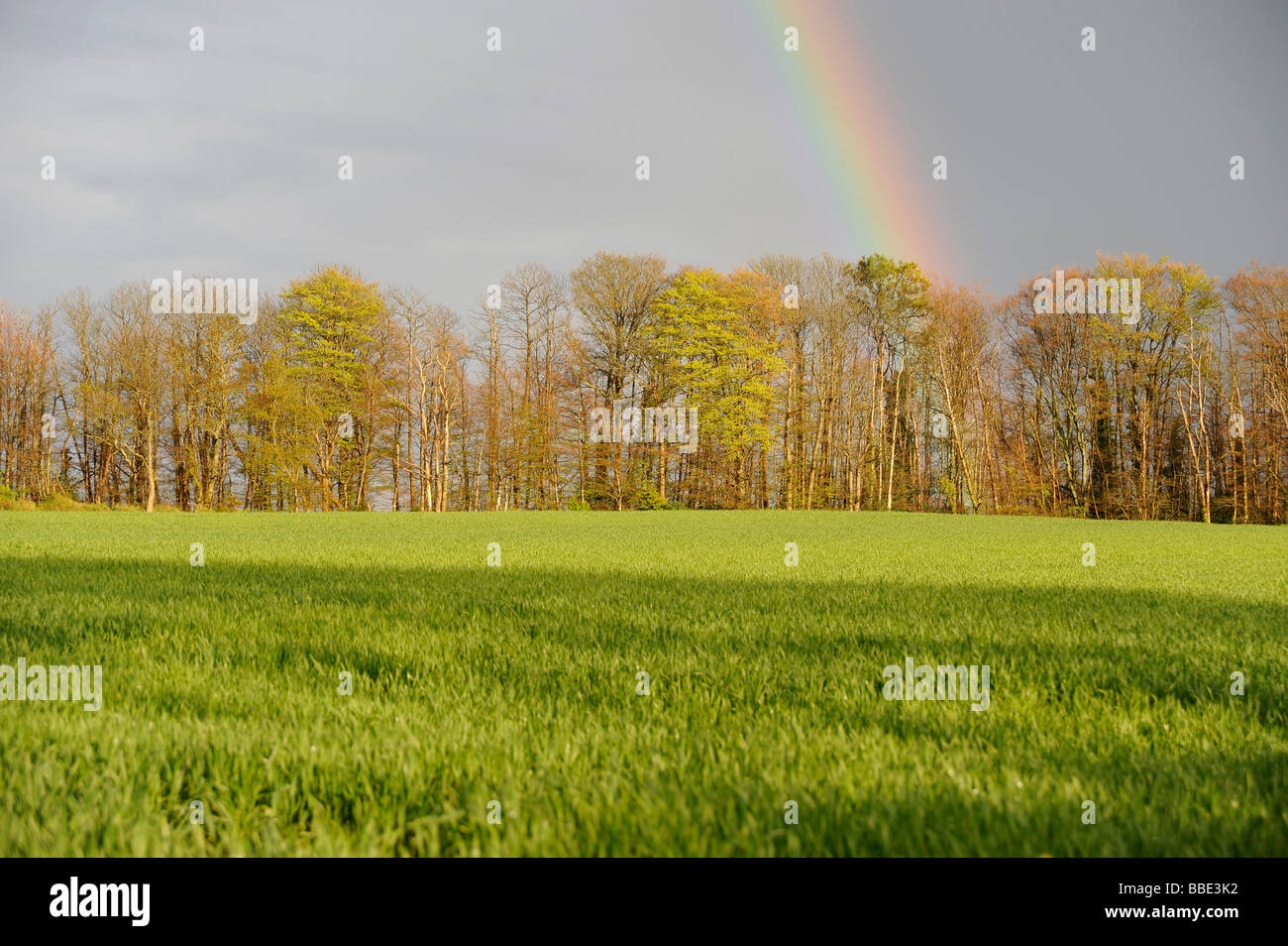 Arc-en-ciel sur le terrain Riec sur Belon Finistere Bretagne Bretagne France Banque D'Images Arc-en-ciel sur le terrain Riec sur Belon Finistere Bretagne Bretagne France Banque D'Images