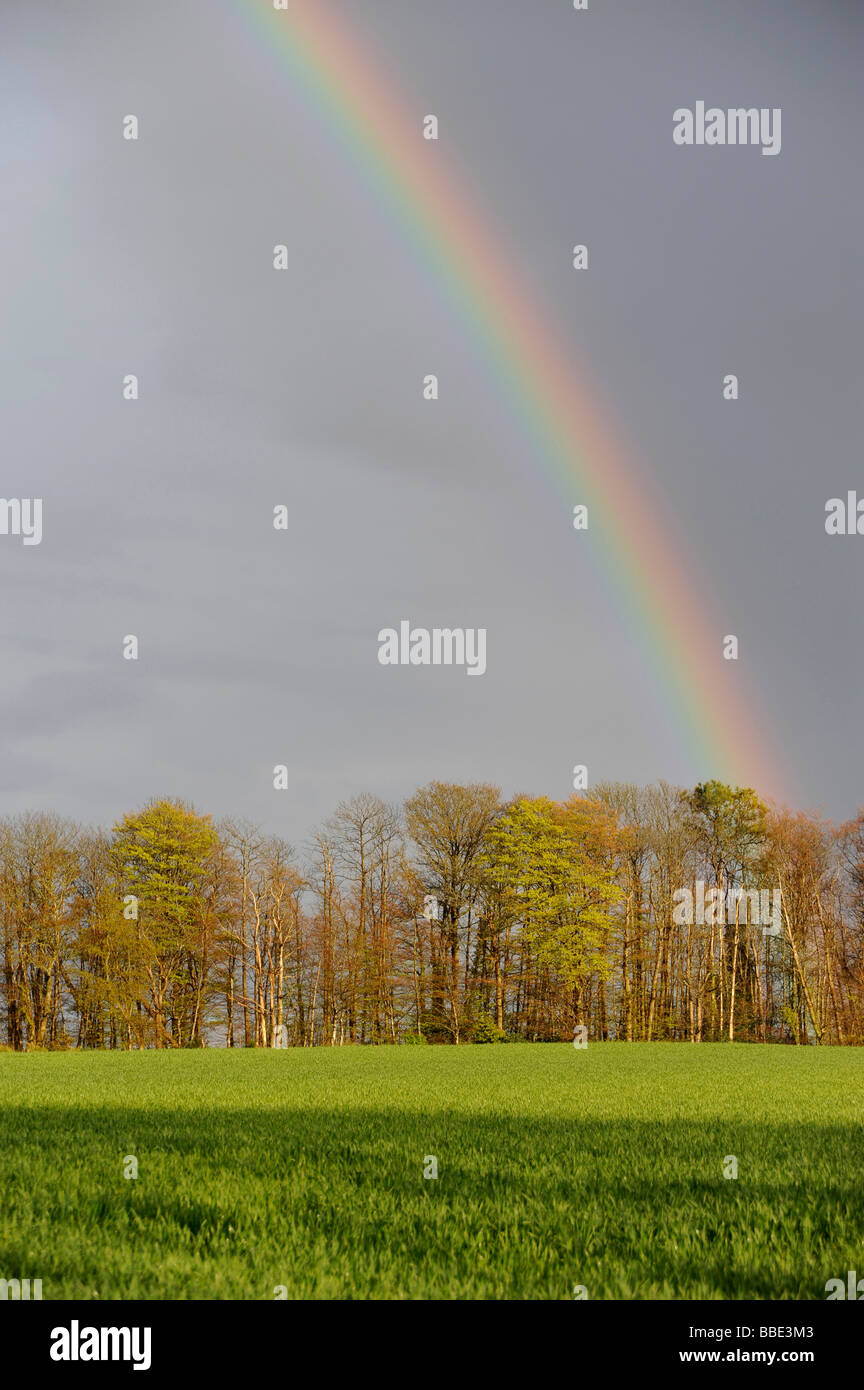Arc-en-ciel sur le terrain Riec sur Belon Finistere Bretagne Bretagne France Banque D'Images Arc-en-ciel sur le terrain Riec sur Belon Finistere Bretagne Bretagne France Banque D'Images