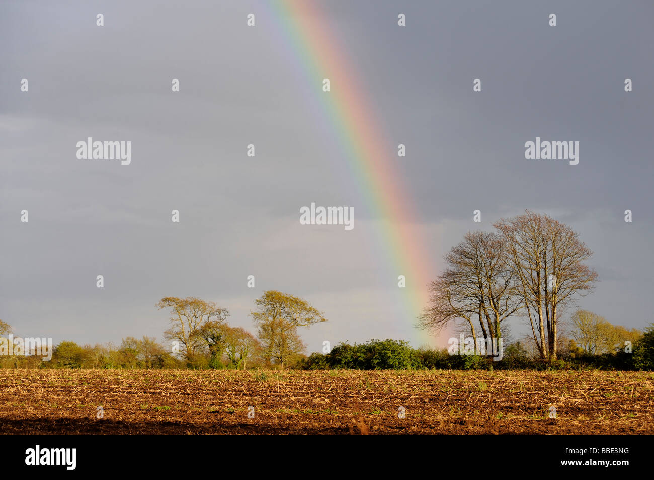 Arc-en-ciel sur le terrain Riec sur Belon Finistere Bretagne Bretagne France Banque D'Images Arc-en-ciel sur le terrain Riec sur Belon Finistere Bretagne Bretagne France Banque D'Images