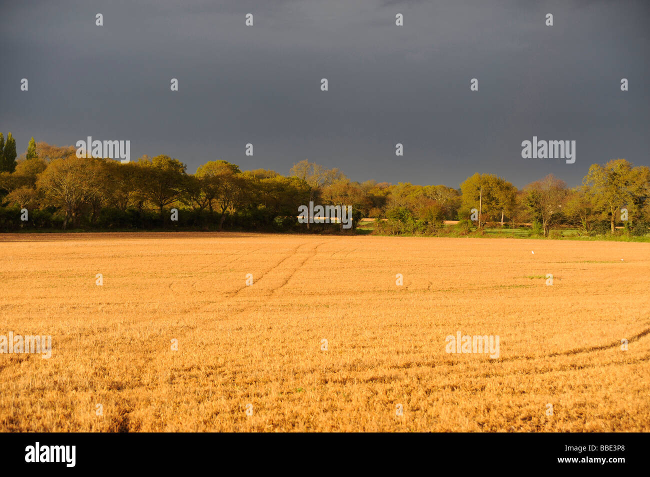Le domaine de Riec sur Belon Finistere Bretagne Bretagne France Banque D'Images Le domaine de Riec sur Belon Finistere Bretagne Bretagne France Banque D'Images