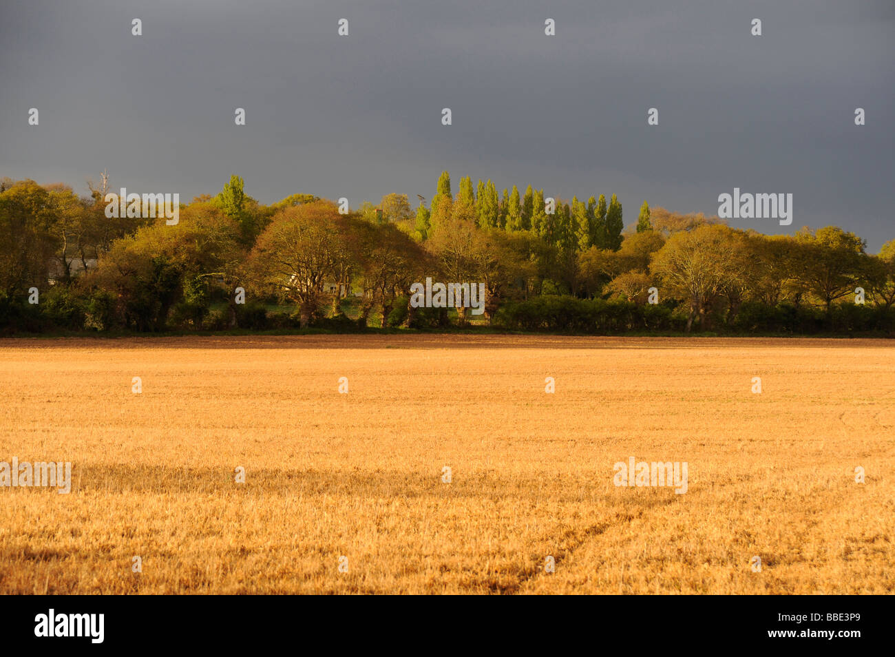 Le domaine de Riec sur Belon Finistere Bretagne Bretagne France Banque D'Images Le domaine de Riec sur Belon Finistere Bretagne Bretagne France Banque D'Images