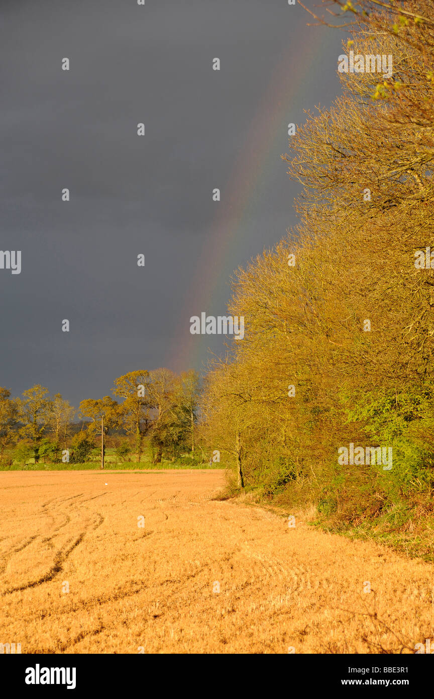 Arc-en-ciel sur le terrain Riec sur Belon Finistere Bretagne Bretagne France Banque D'Images Arc-en-ciel sur le terrain Riec sur Belon Finistere Bretagne Bretagne France Banque D'Images