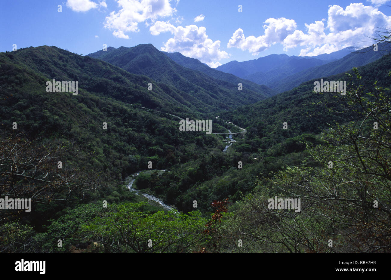 Les Montagnes De La Sierra Maestra à Cuba Sont La Plus Haute