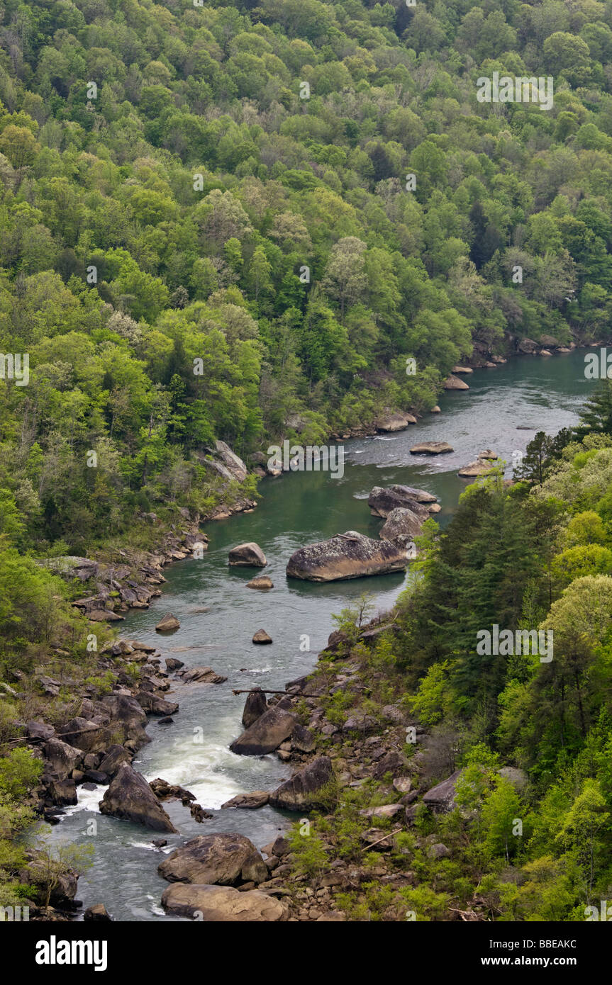 Vue de la rivière Cumberland du Devils Aller oublier dans Big South Fork River National Recreation Area et South Carolina Banque D'Images