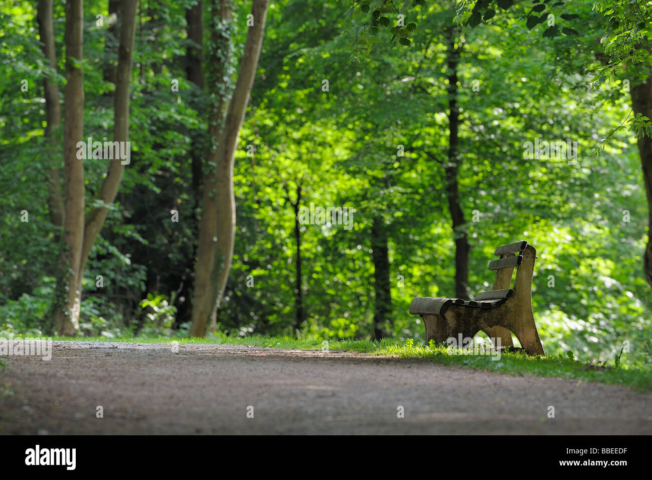 Banc dans parc, Bavière, Allemagne Banque D'Images