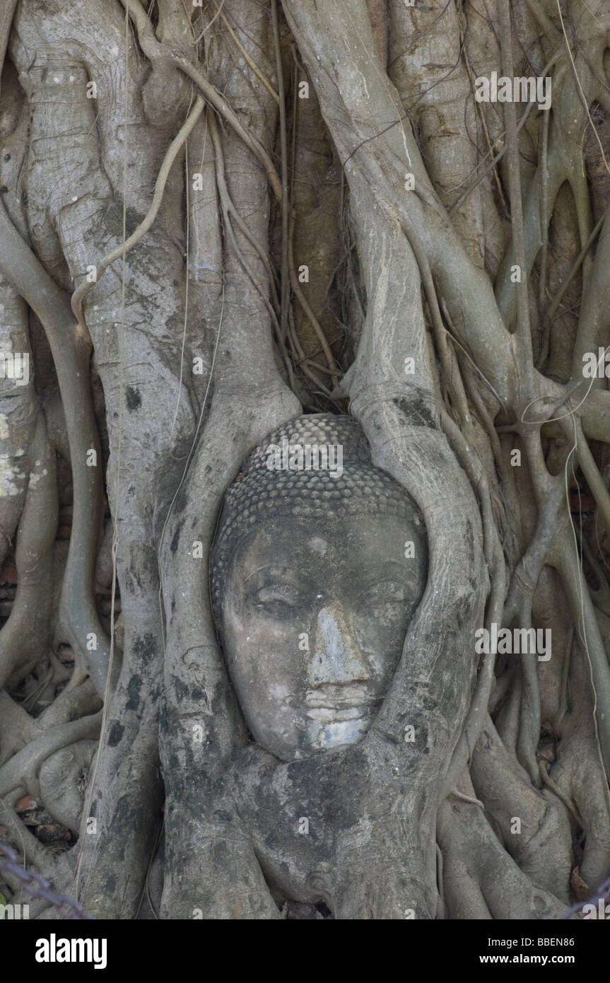 La sculpture, Ayutthaya, Thaïlande Banque D'Images