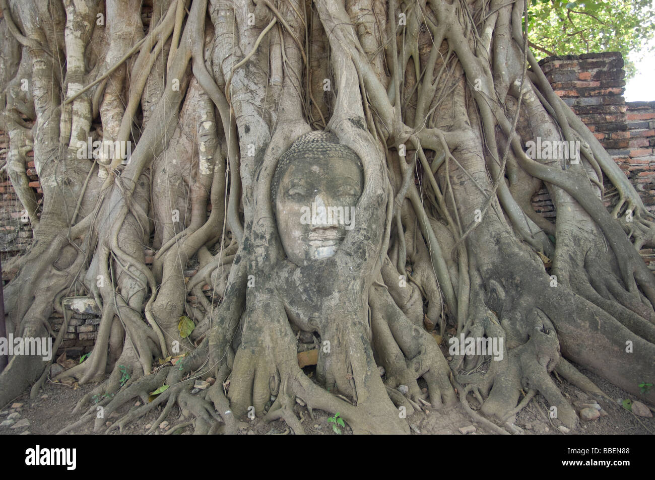 La sculpture, Ayutthaya, Thaïlande Banque D'Images