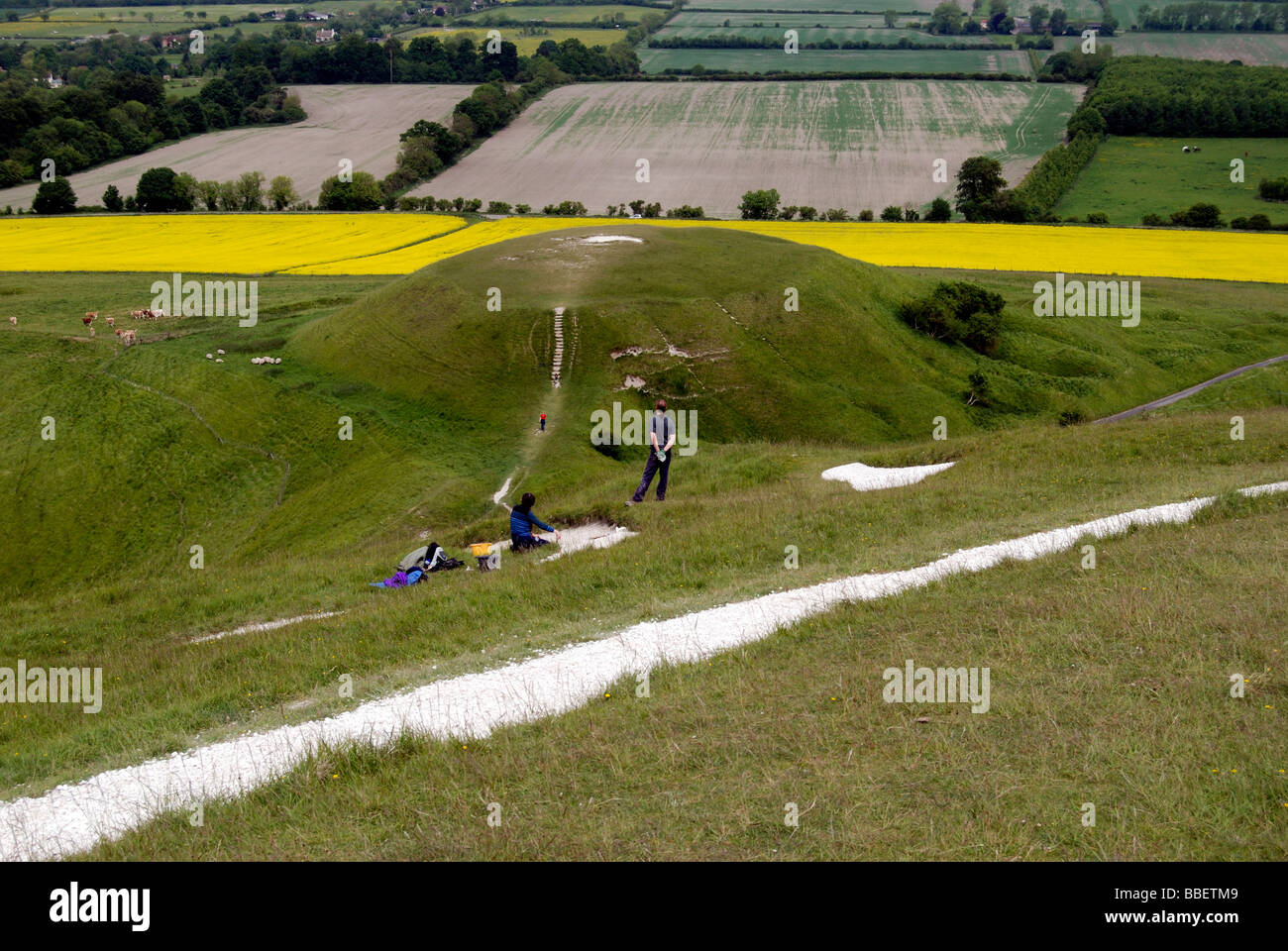 Les bénévoles qui travaillent sur l'entretien de l'Uffington White Horse sur White Horse Hill dans l'Oxfordshire Banque D'Images
