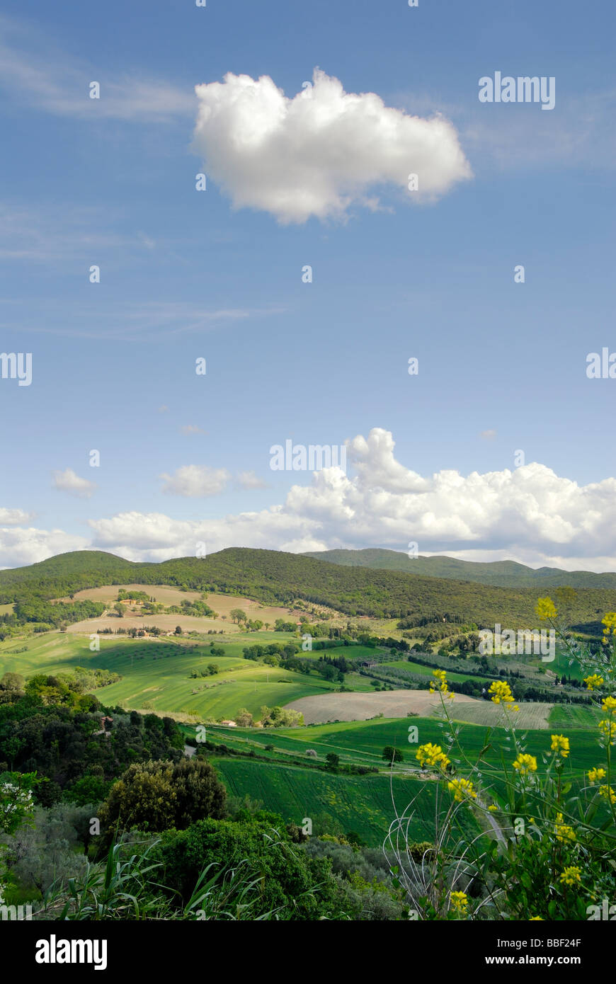Paysage rural dans la Toscane (Toscana) Région de l'Italie Banque D'Images