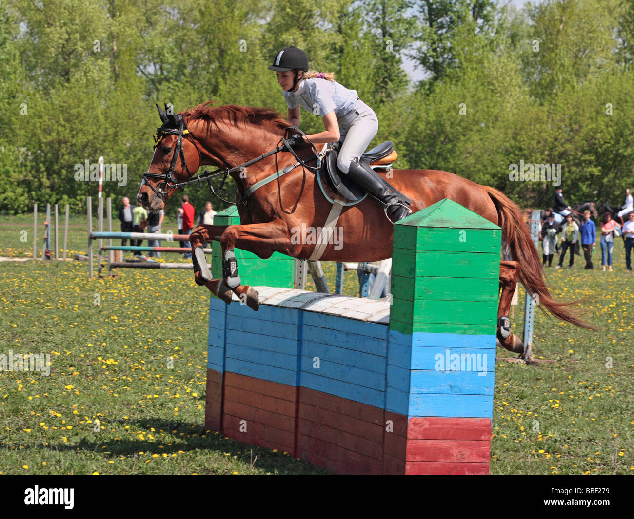 Sport équestre les cavaliers concours de saut saut à cheval Banque D'Images
