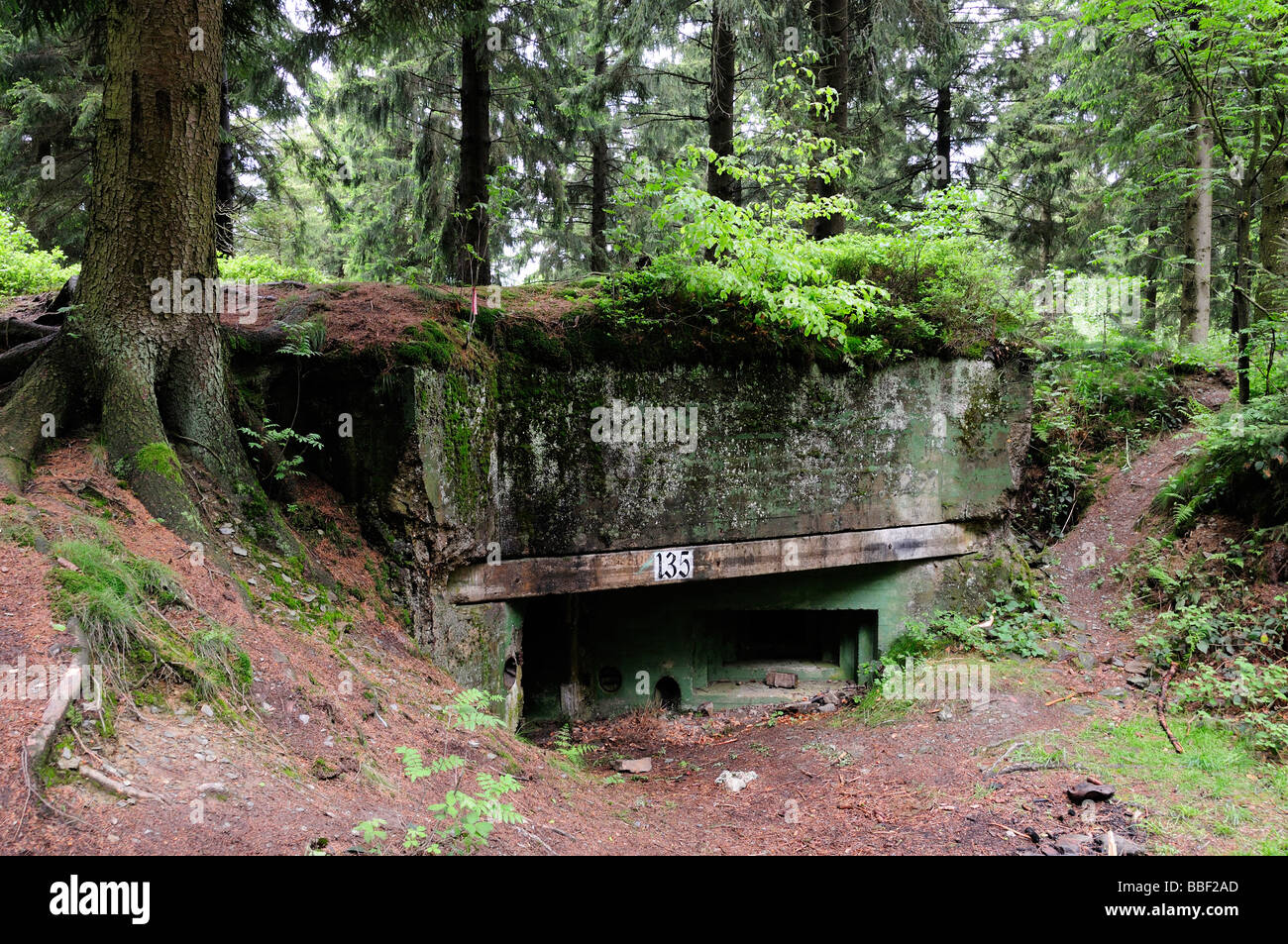 La ligne Siegfried bunker allemand en Allemagne, forêt Huertgenwald Banque D'Images