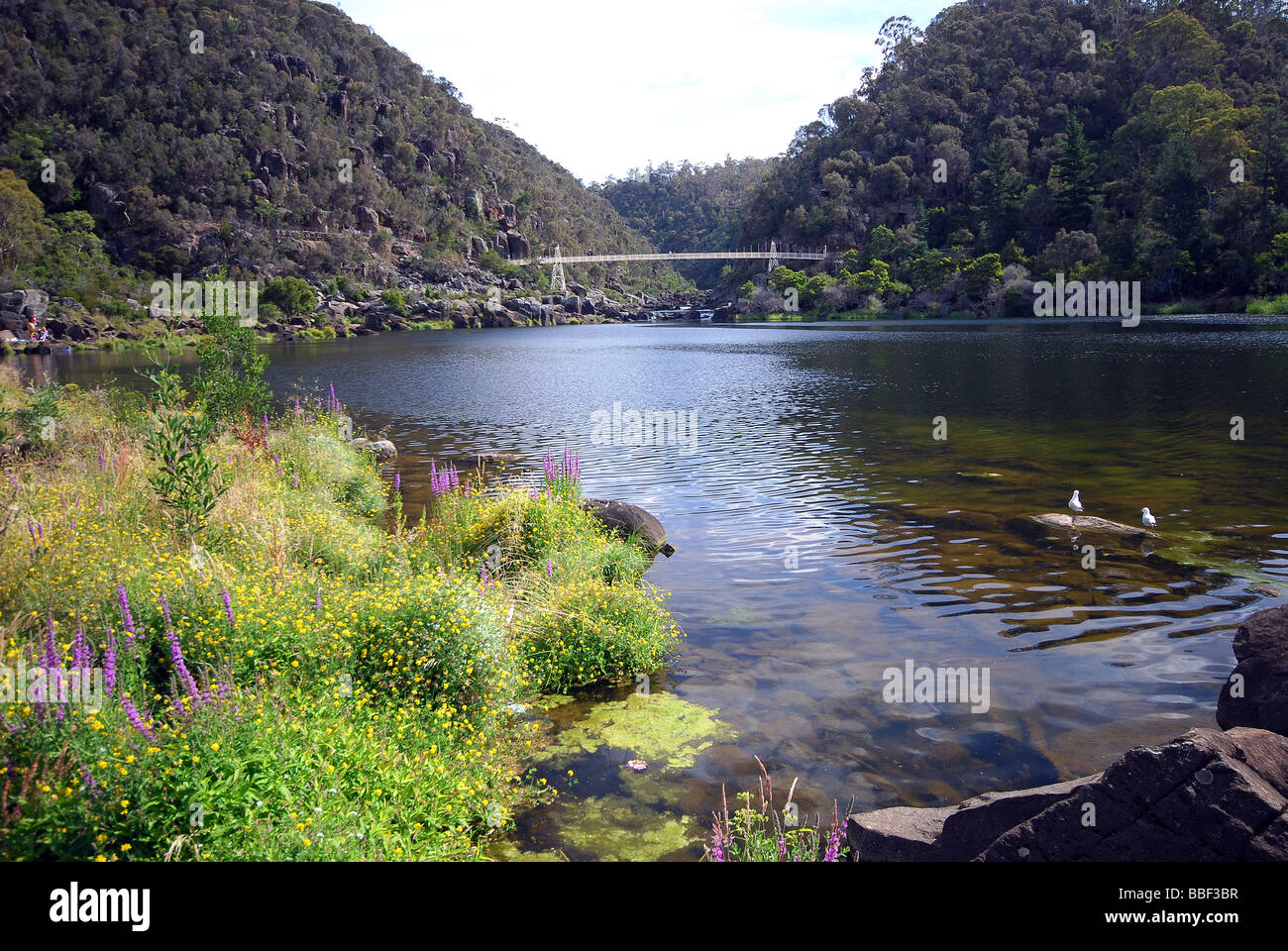 Première vue du bassin de la Rivière Tamar, Launceston, TAS. Banque D'Images