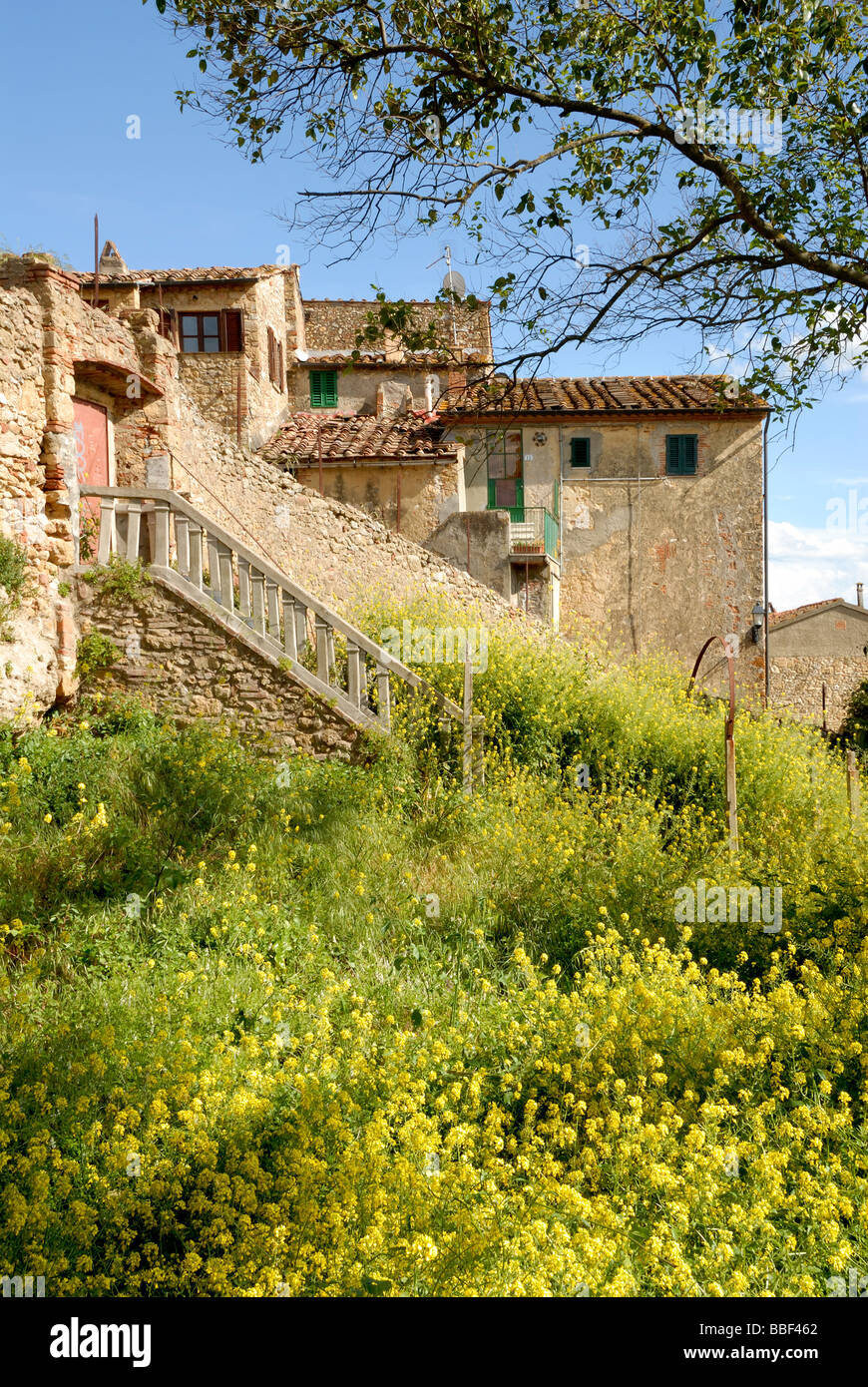 Toscane (Toscana) Italie - bâtiments avec des arbustes entourent alors que vue sur la ville médiévale Casale Marittimo Banque D'Images