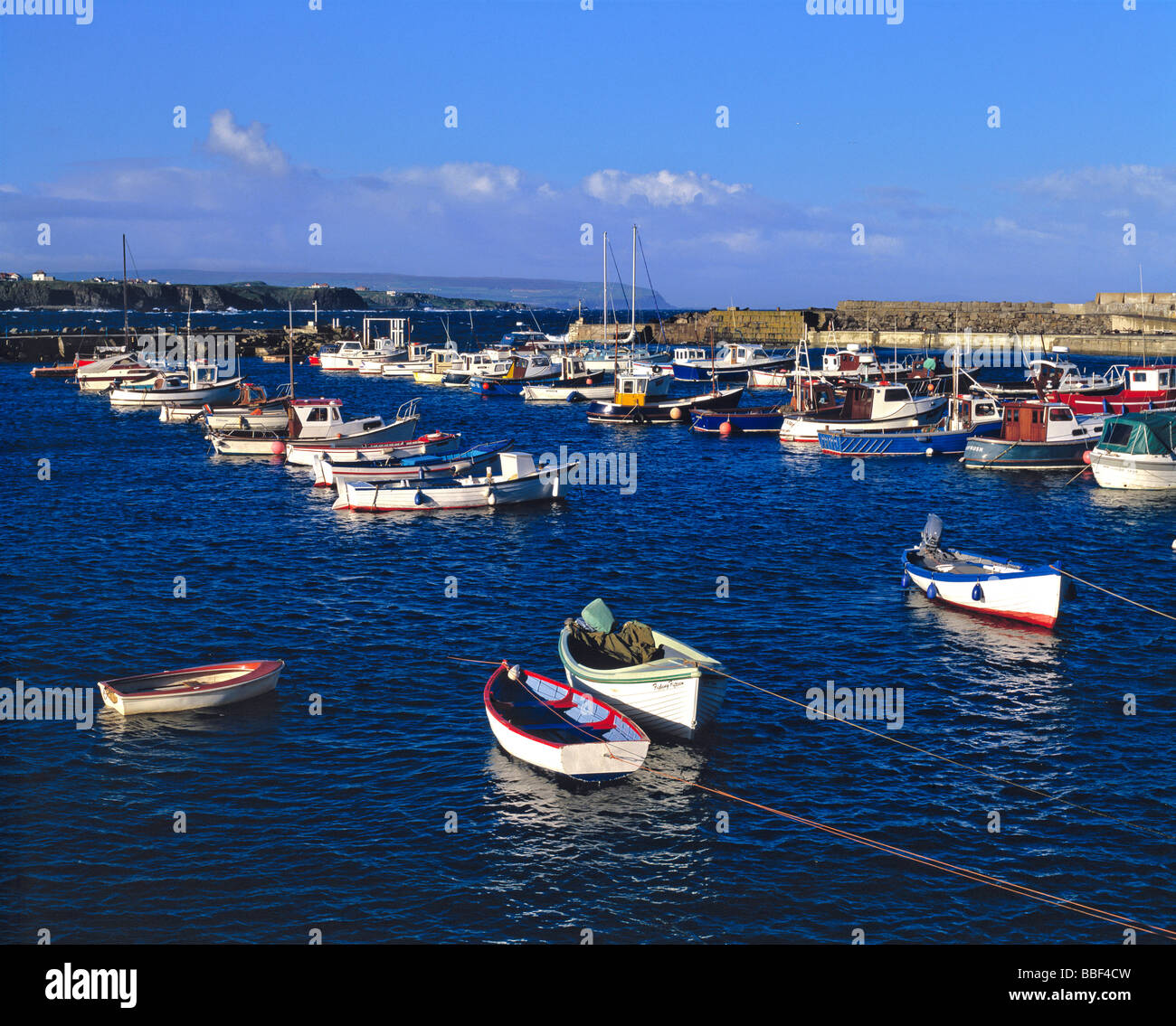Petits bateaux de pêche de remplir le port de Portrush en Irlande du Nord Banque D'Images