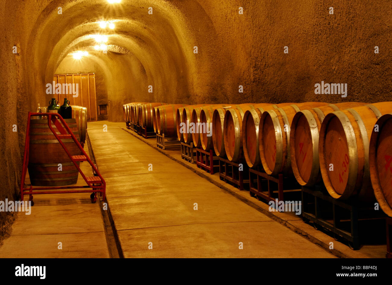 Barils de vin en fermentation dans une cave à vin Banque D'Images