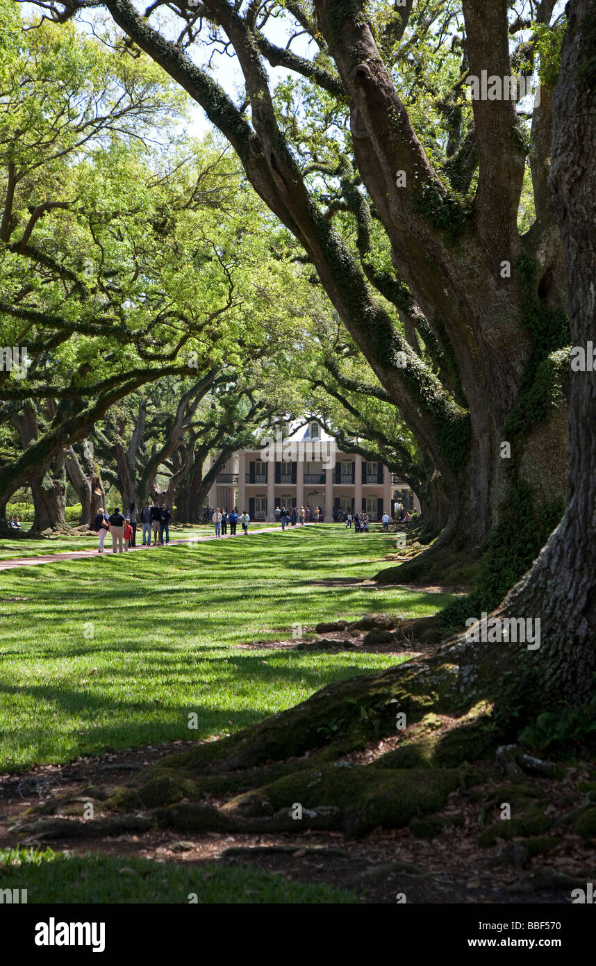 La plantation d'Oak Alley Banque D'Images