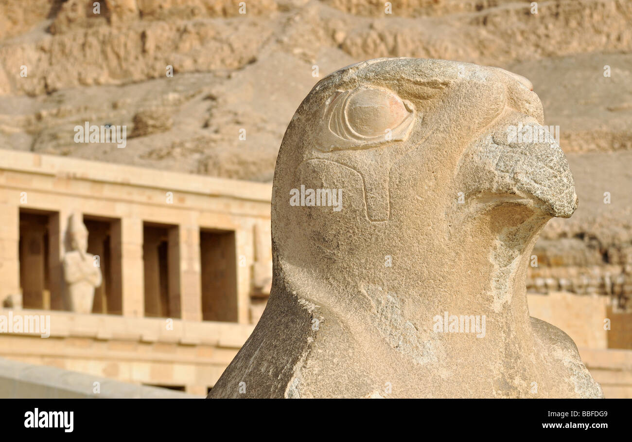 Close up of faucon Horus statue au temple funéraire de la Reine Hatshepsout à Deir el Bahri, près de Louxor en Égypte Banque D'Images