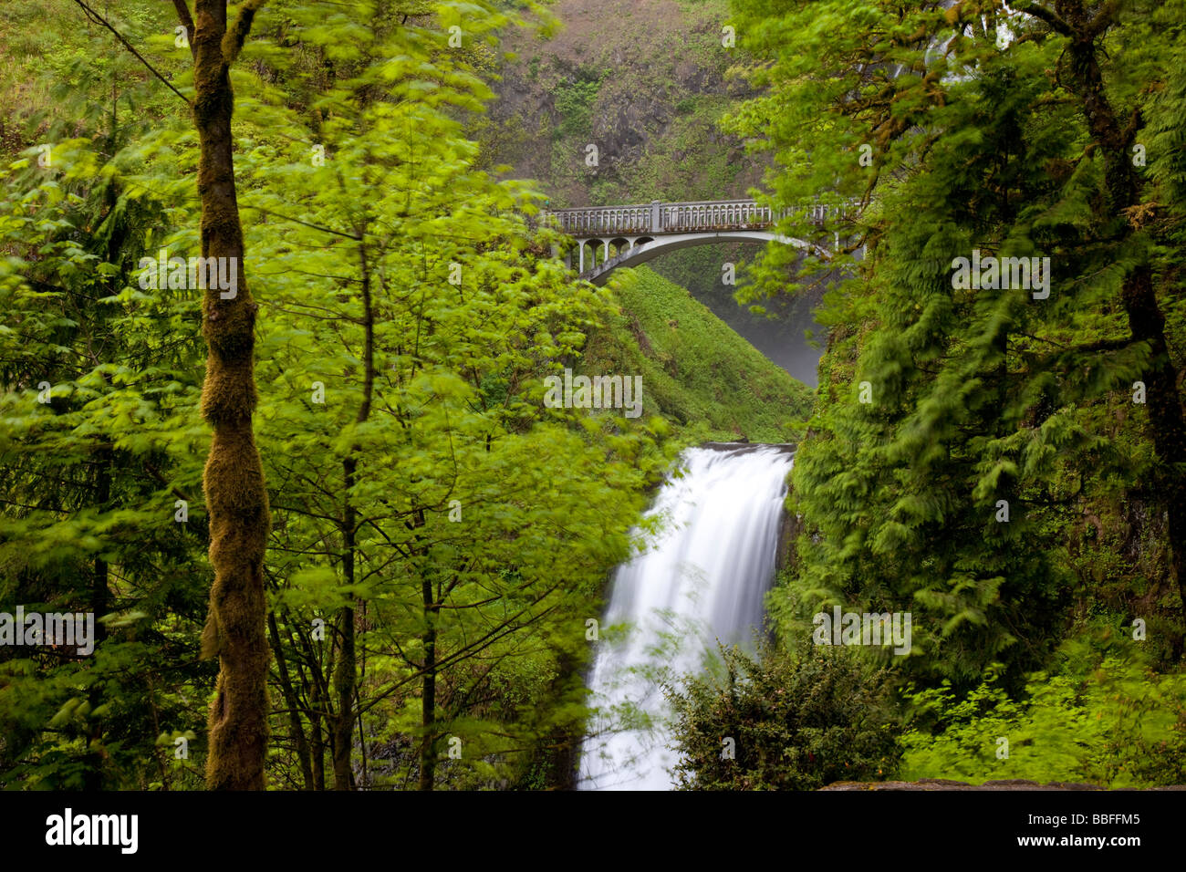 Multnomah Falls, Oregon, USA Banque D'Images